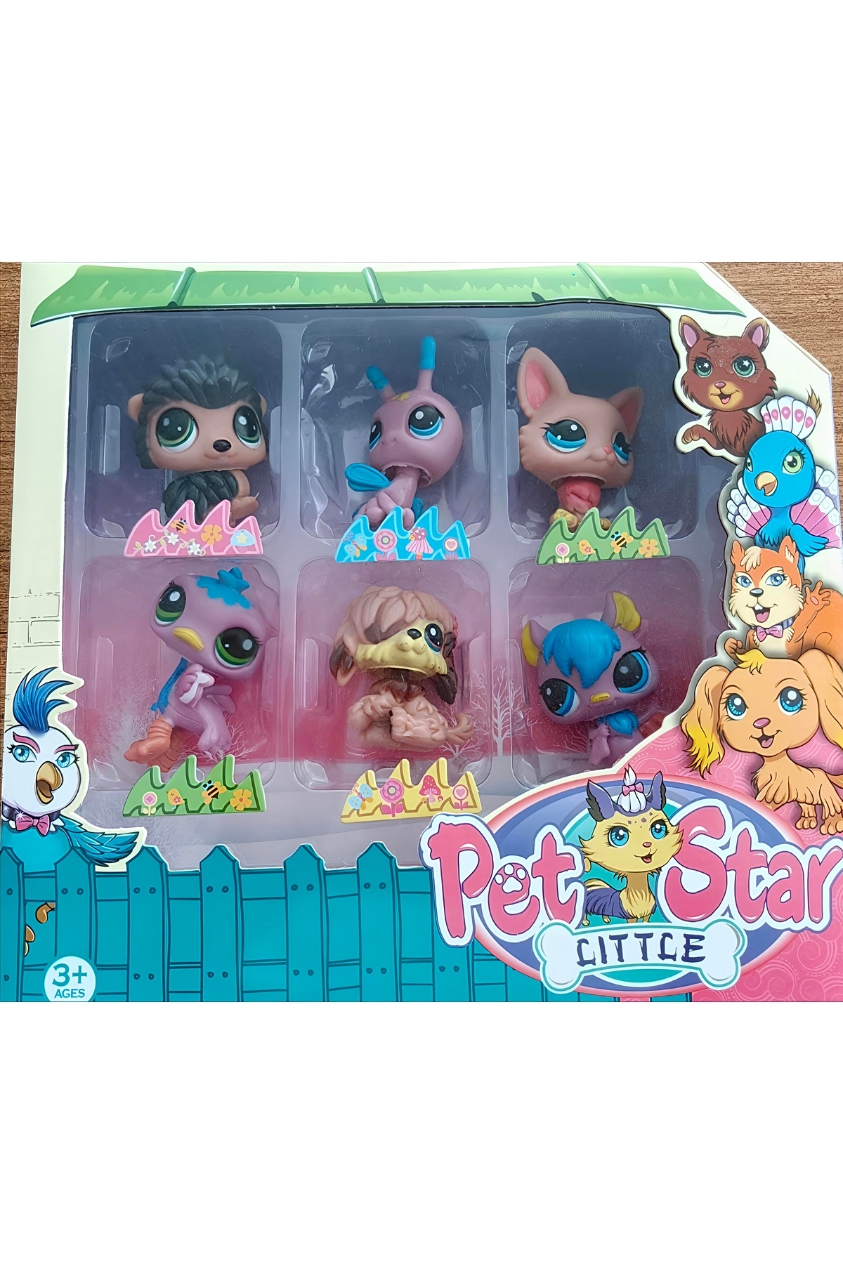 KIZILKAYA 6'Lı Minik Pet Star Seti KZL-3046A3 - Fiyatı, Yorumları