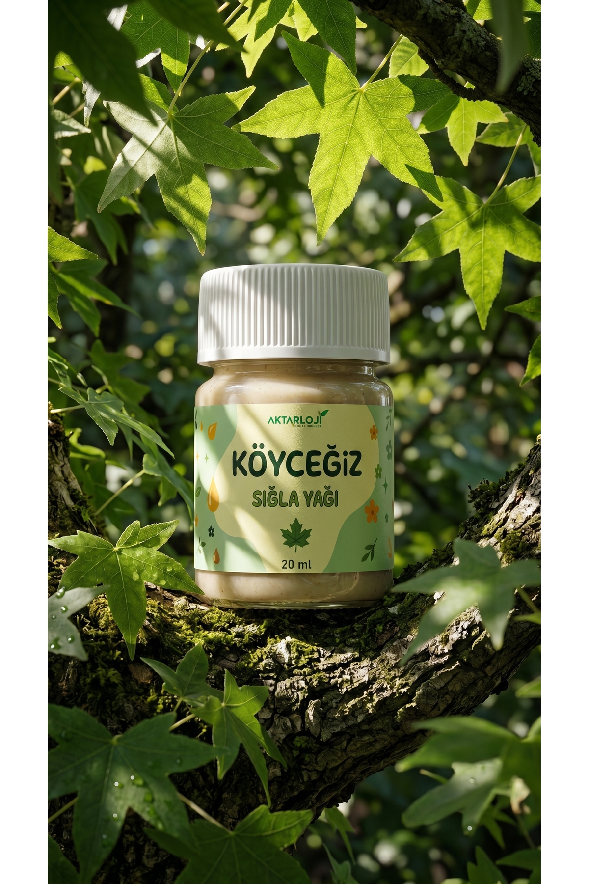 20 ml Köyceğiz Sığla Yağı / Yenilebilir / Saf ( Günlük Yağı ) Yoğun Kıvam - Katkısız & Doğal — A1-sıglayagı-20ml — تصویر 3 از 8