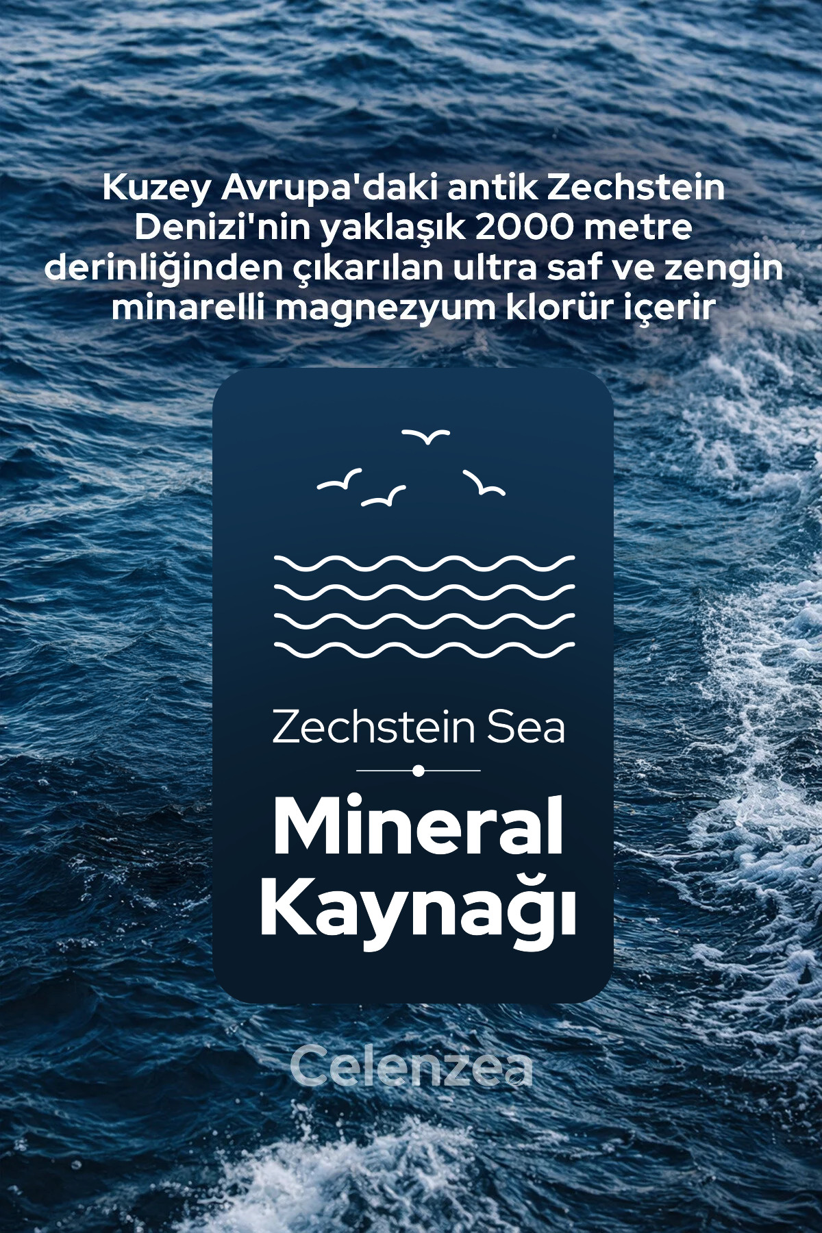 Magnezyum Yağı Kas ve Eklem Bakımı İçin Etkili Roll-On Doğal Magnezyum Klorür Magnesium Oil 50ml — FLOWT50MLSPRAY1 — تصویر 9 از 9