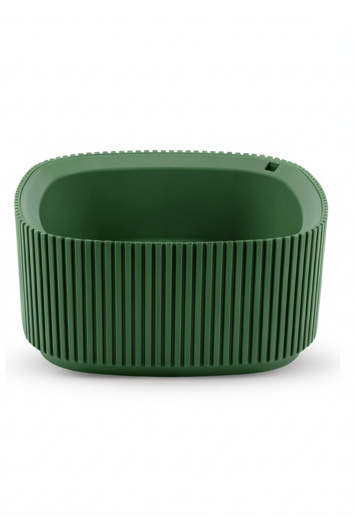No1 Pera Arrangement Cactus Succulent Flower Potted with Strainer for Plants Quantity
