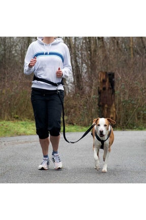 Kurgo Quantum 6 Si Birarada Tasma Kayisi Siyah Kavunici Trendyol