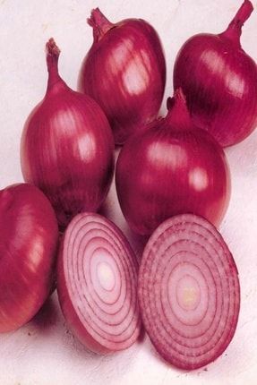 Tacirdepo Kirmizi Grano Sogan Tohumu 45 Tohum Trendyol