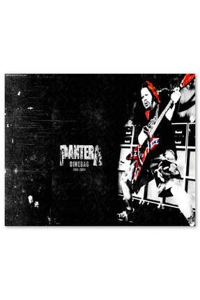 Ahşap Tablo Pantera Solist Dimebag Darrell (50x70 Cm Boyut) Yatay-13637 -50-70