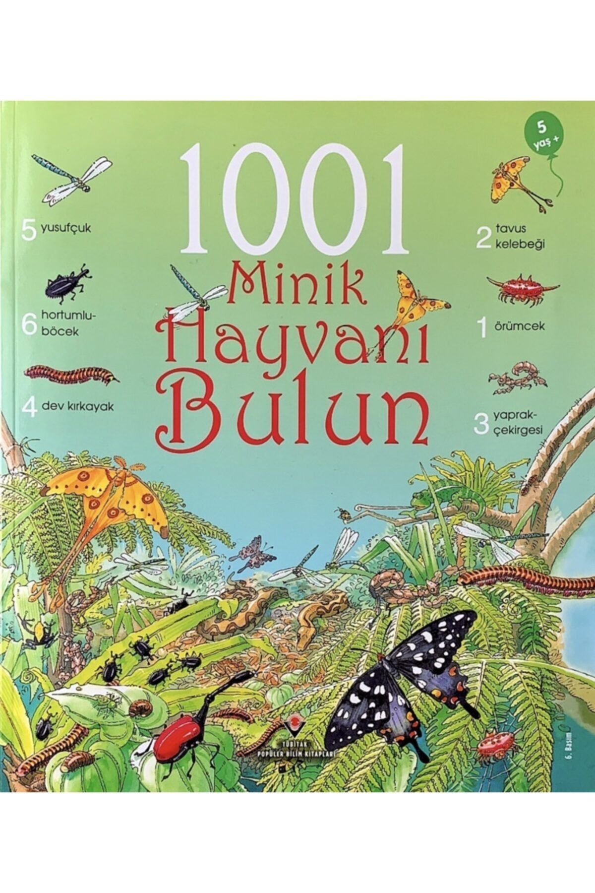 tubitak yayinlari 1001 minik hayvani bulun ruth brocklehurst fiyati yorumlari trendyol