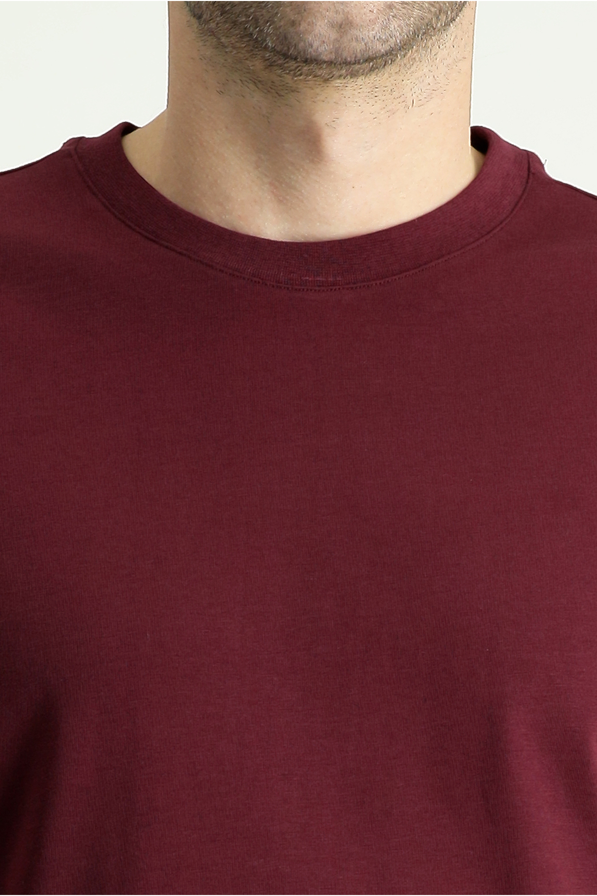 Kiğılı Bisiklet Yaka Regular Fit %100 Pamuk Süprem Basic Tişört görsel 5
