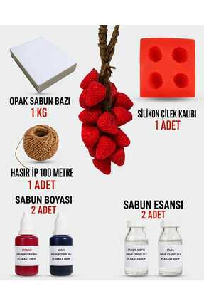 Plaka53 Shop Salkım Çilek Sabun Yapım Seti