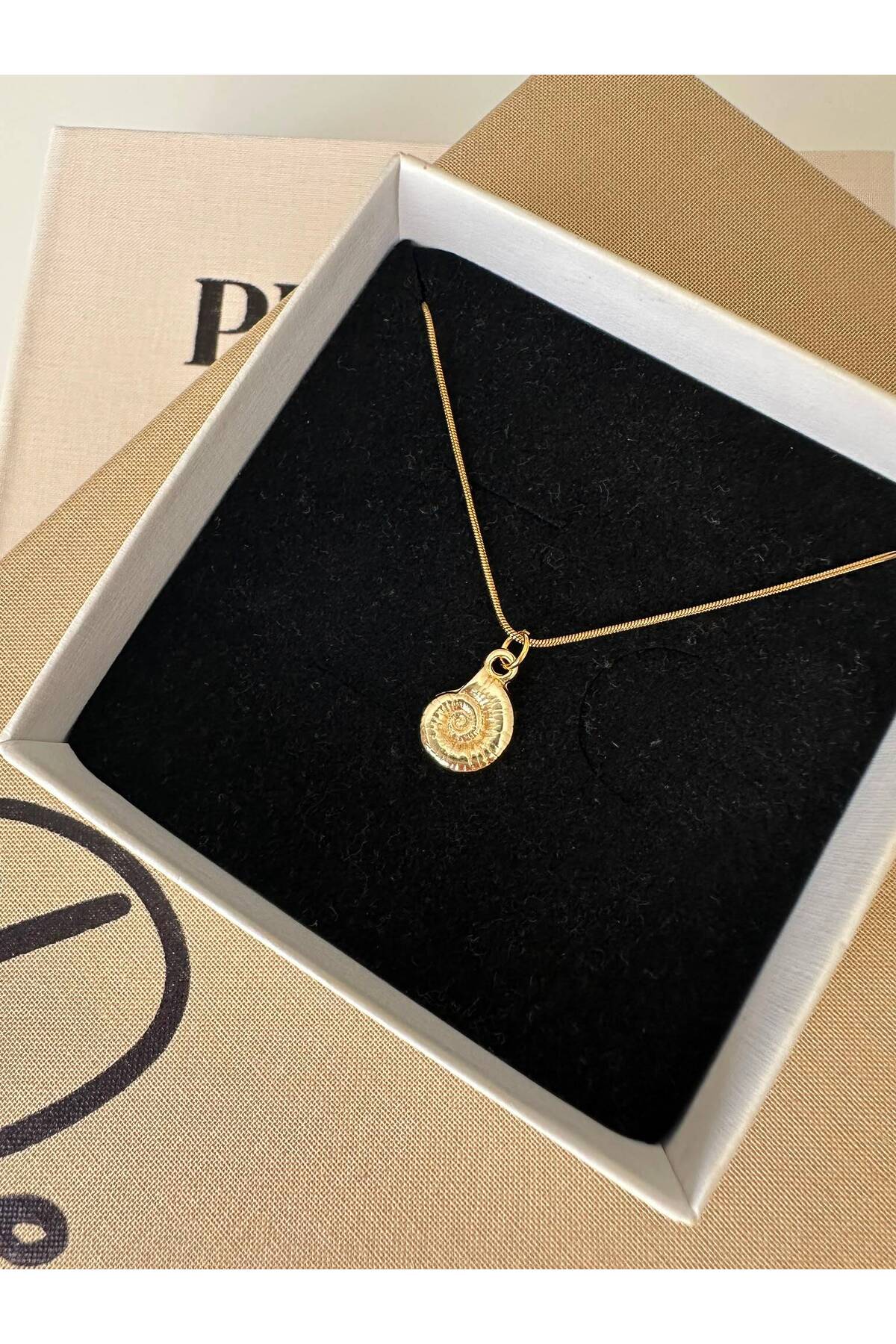 Mini Deniz Kabuğu Charm Çelik Zincirli 45 cm Yazlık Gold Kolye - Detay Görseli 3