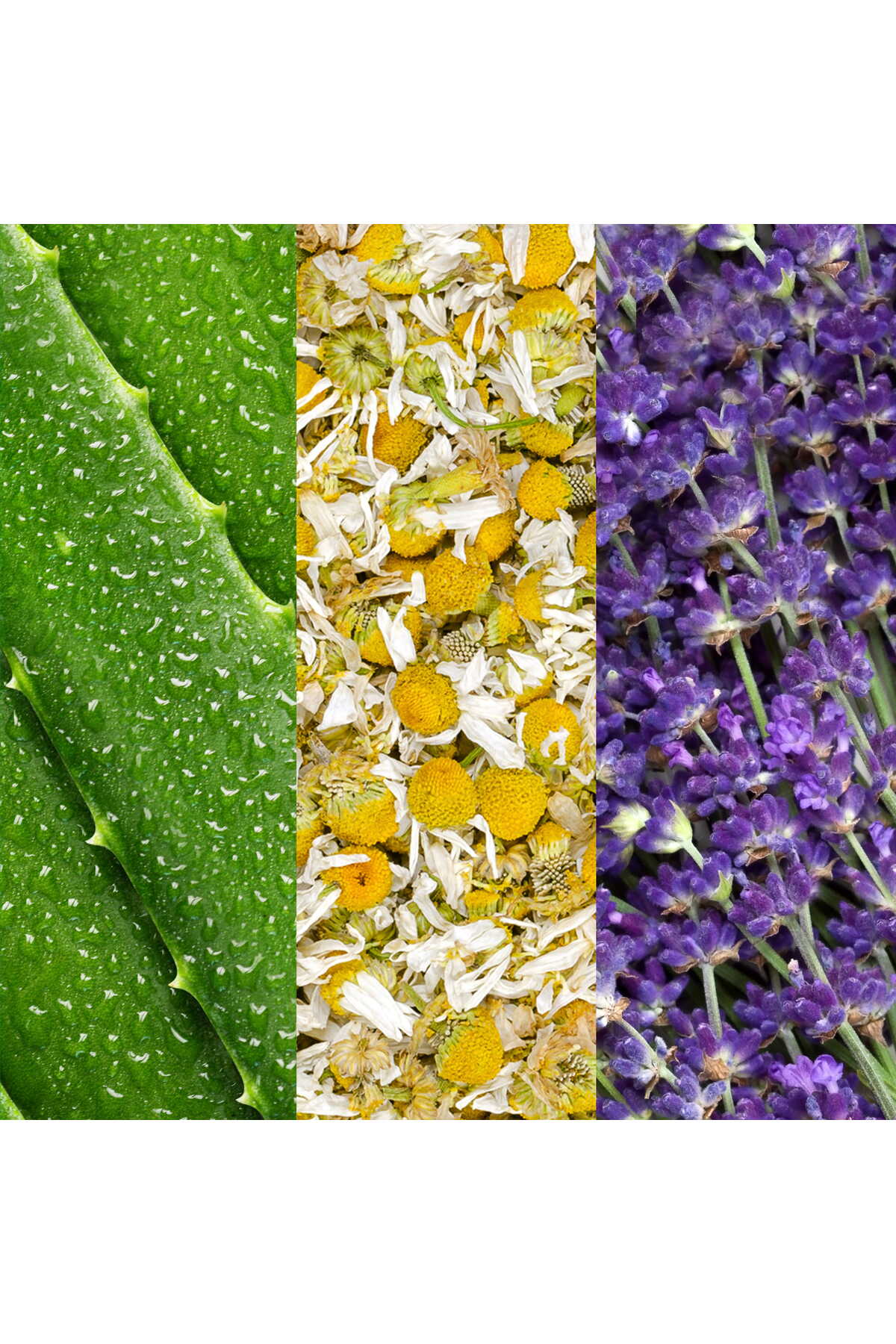 Aloe, Chamomile & Lavender Dengeleyici Yüz Spreyi 59 ml — MB30100006 — تصویر 3 از 3