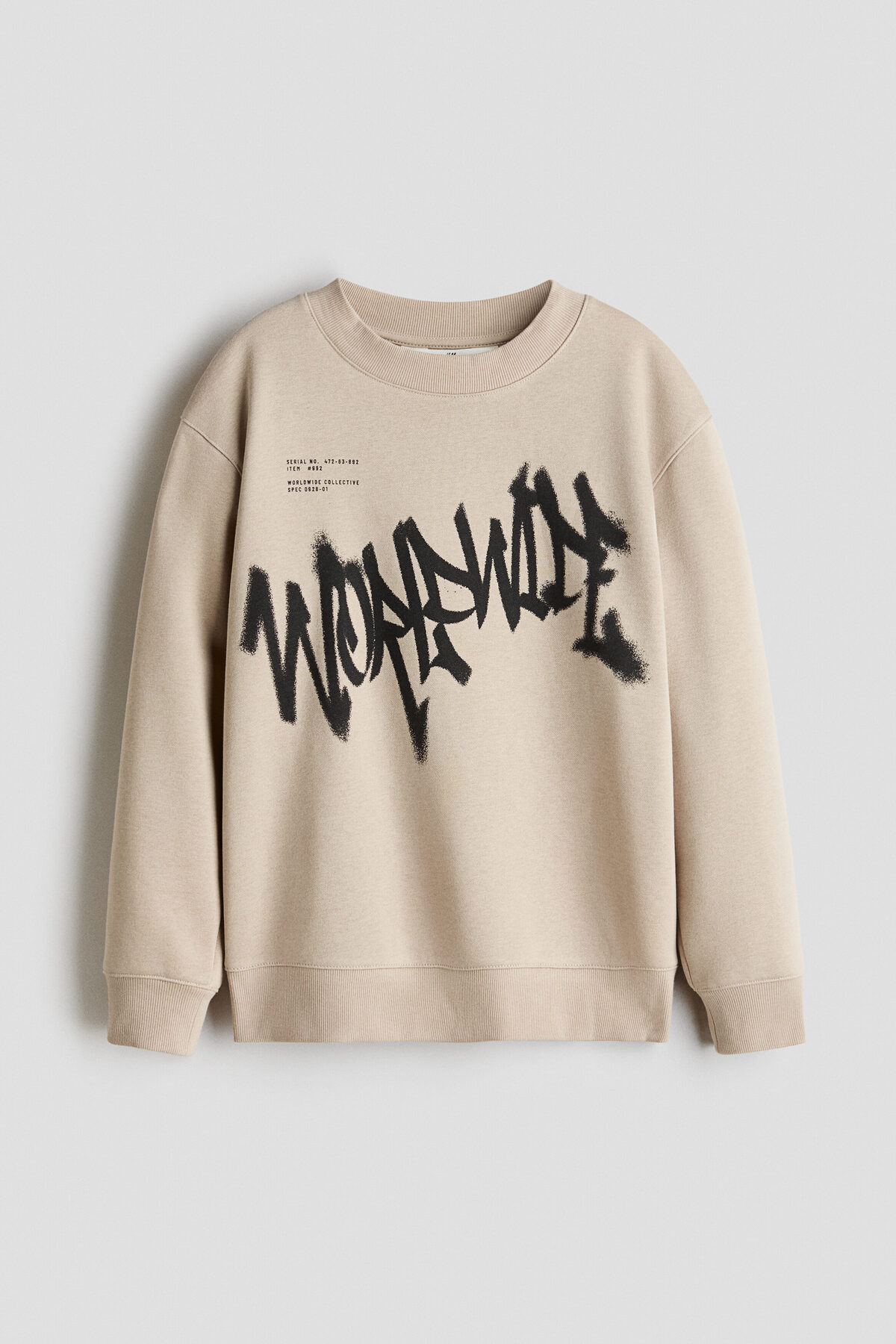 سویشرت طرح‌دار با آستر خز اچ اند ام سویشرت H&M