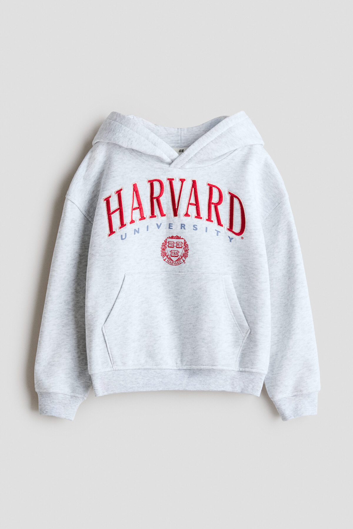 تاپ کلاه دار گلدوزی شده اچ اند ام سویشرت H&M