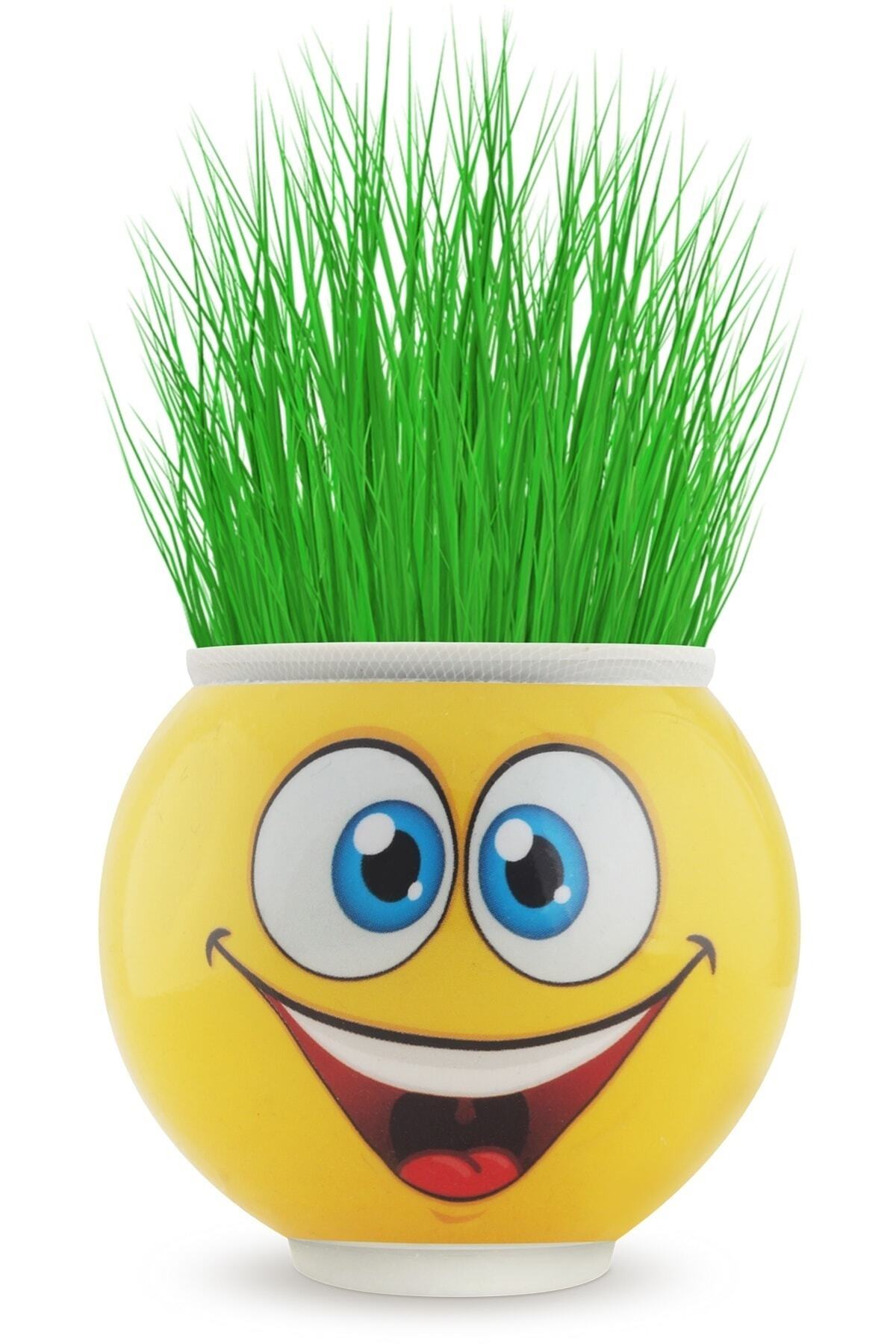 Grass Man Happy Grass Man