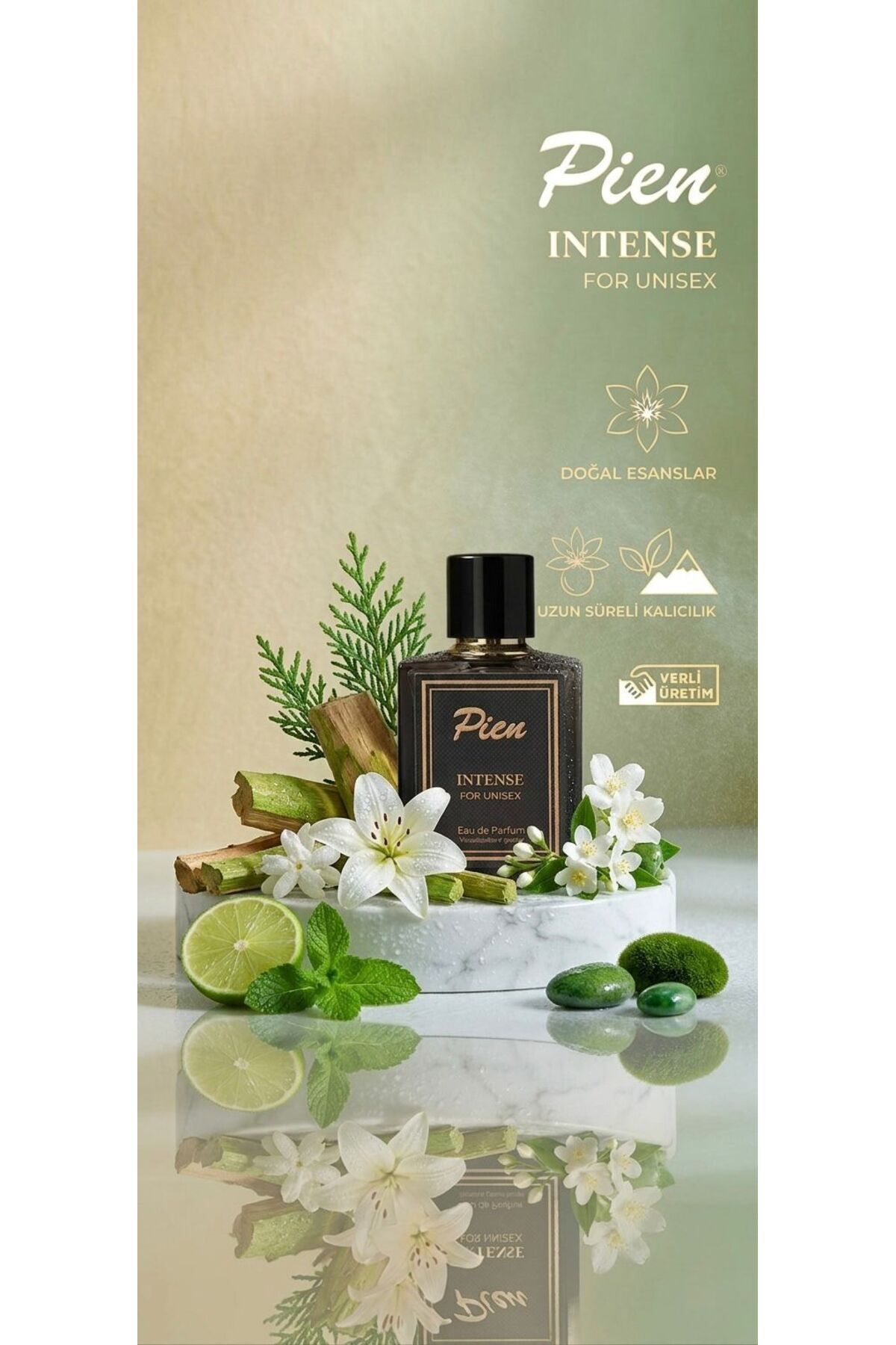 PIEN 392