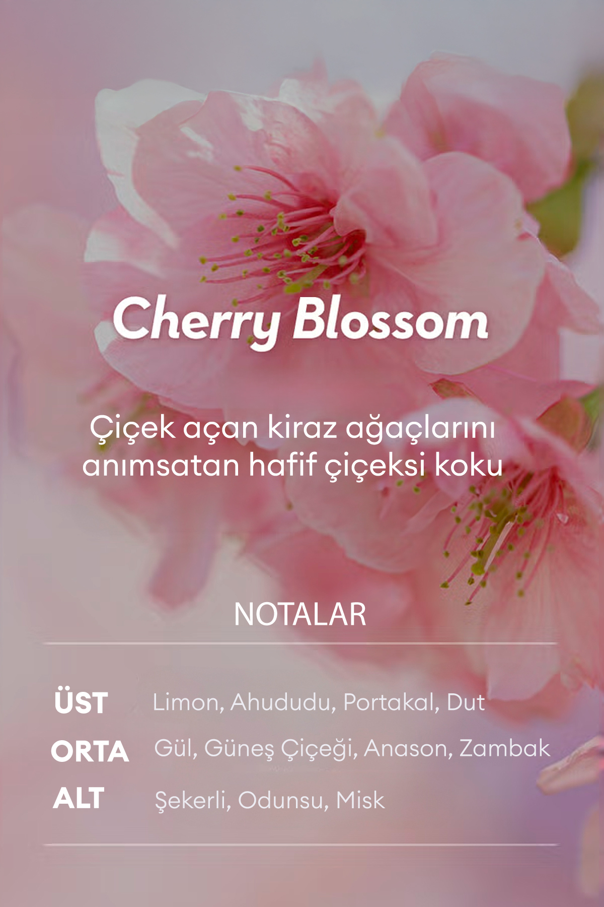 کرم موی ترمیم کننده کلاژن ریچ پرفیوم مخصوص موهای آسیب دیده ۱۵۰ میلی لیتر — 9594 — تصویر 8 از 9