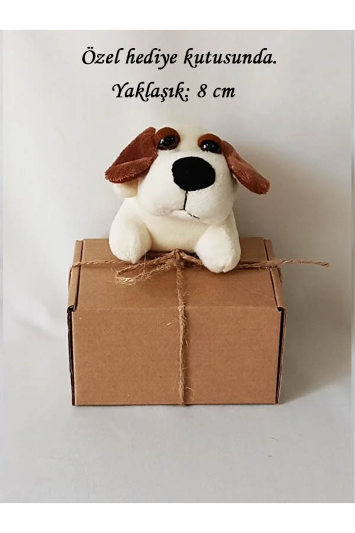 White Plush Toy Plump Dog Keychain with Kraft Box 8cm-Birthday - Bag Ornament