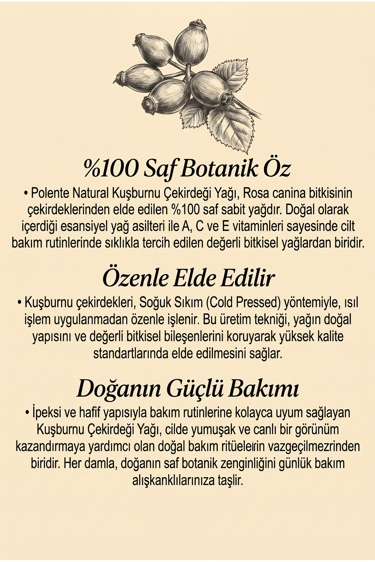 Kuşburnu Çekirdeği Yağı - Soğuk Sıkım 50 ml — Rosa Canina Seed Oil — تصویر 4 از 5