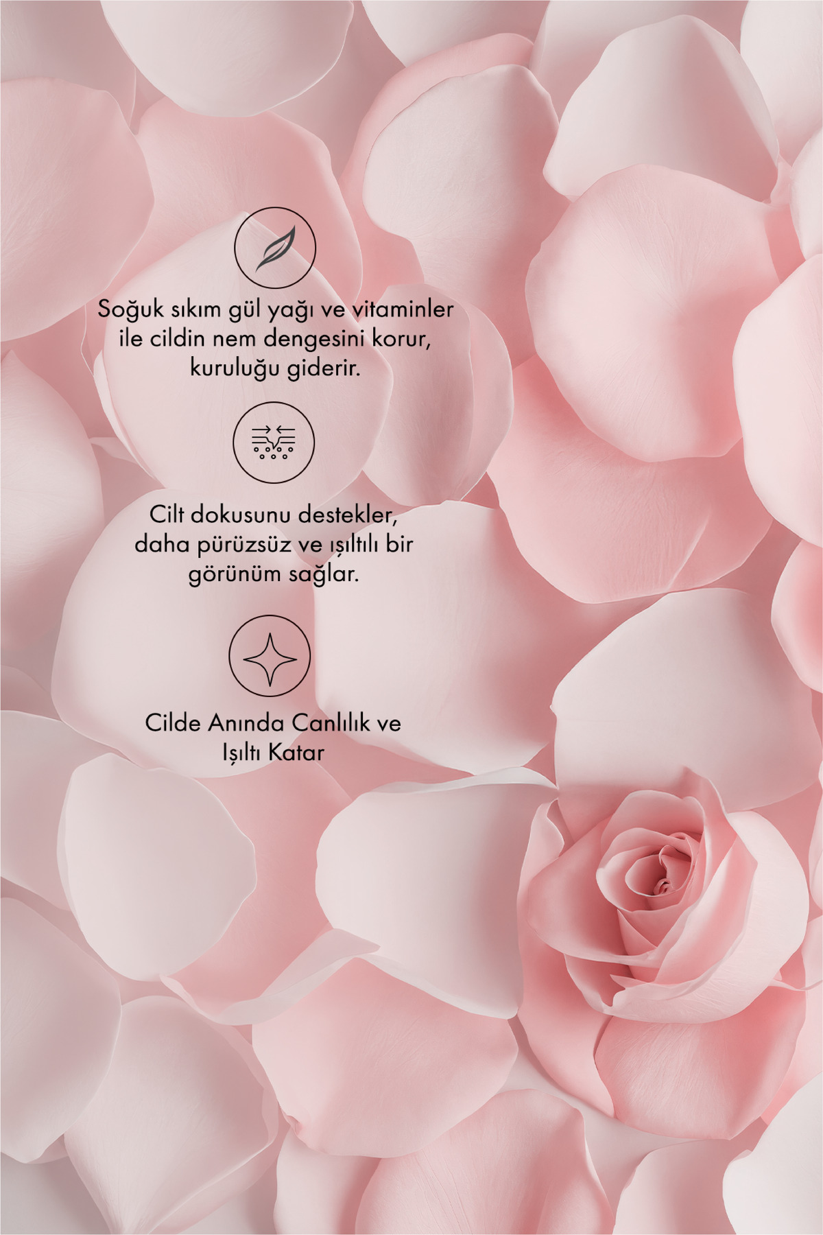 Gül Yağı ve Gül Özlü Nemlendiricili Cilt Bakım Seti — SNLGL8023452 — تصویر 6 از 7