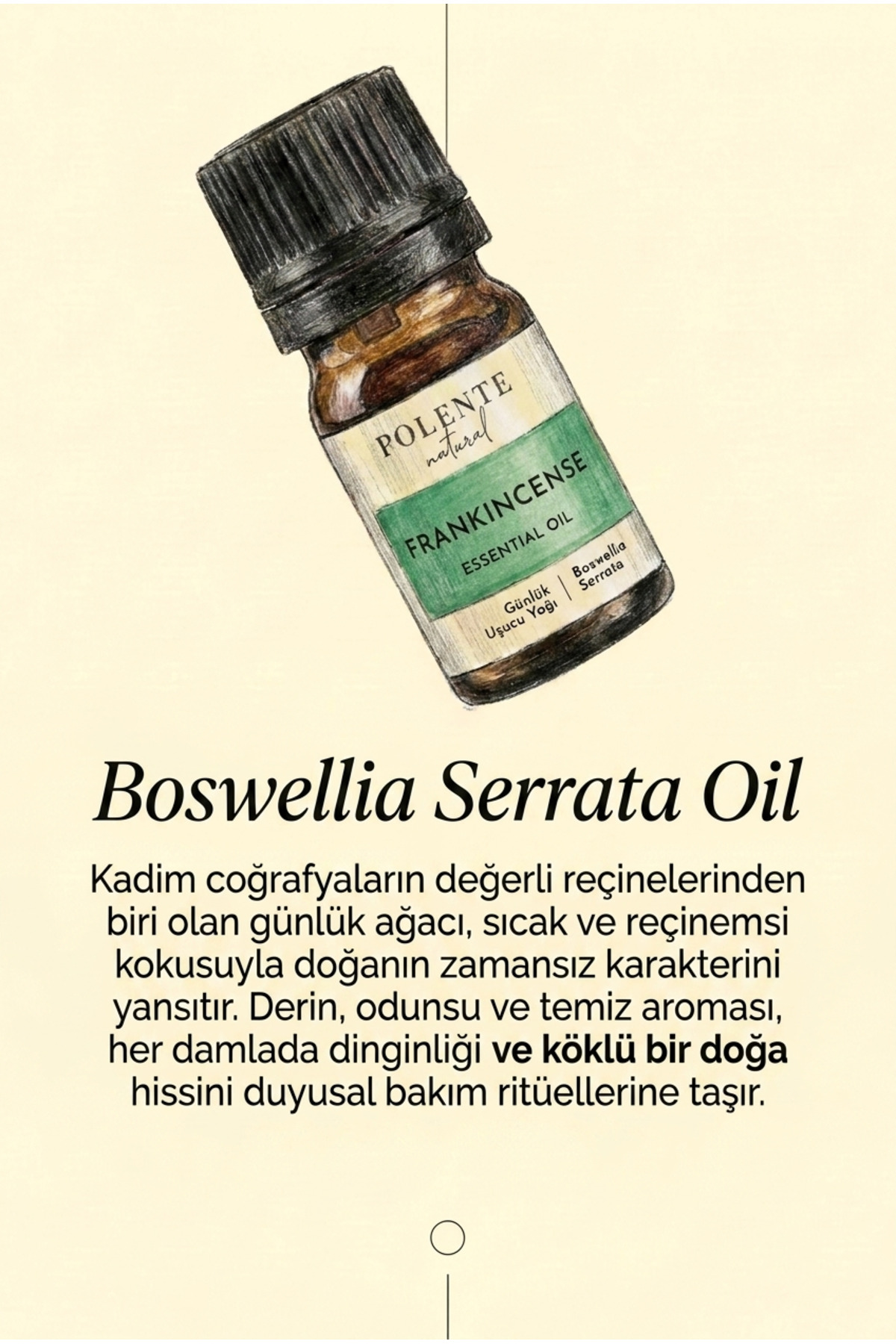 اسانس Boswellia Serrata 5 میلی لیتر — تصویر 3 از 4