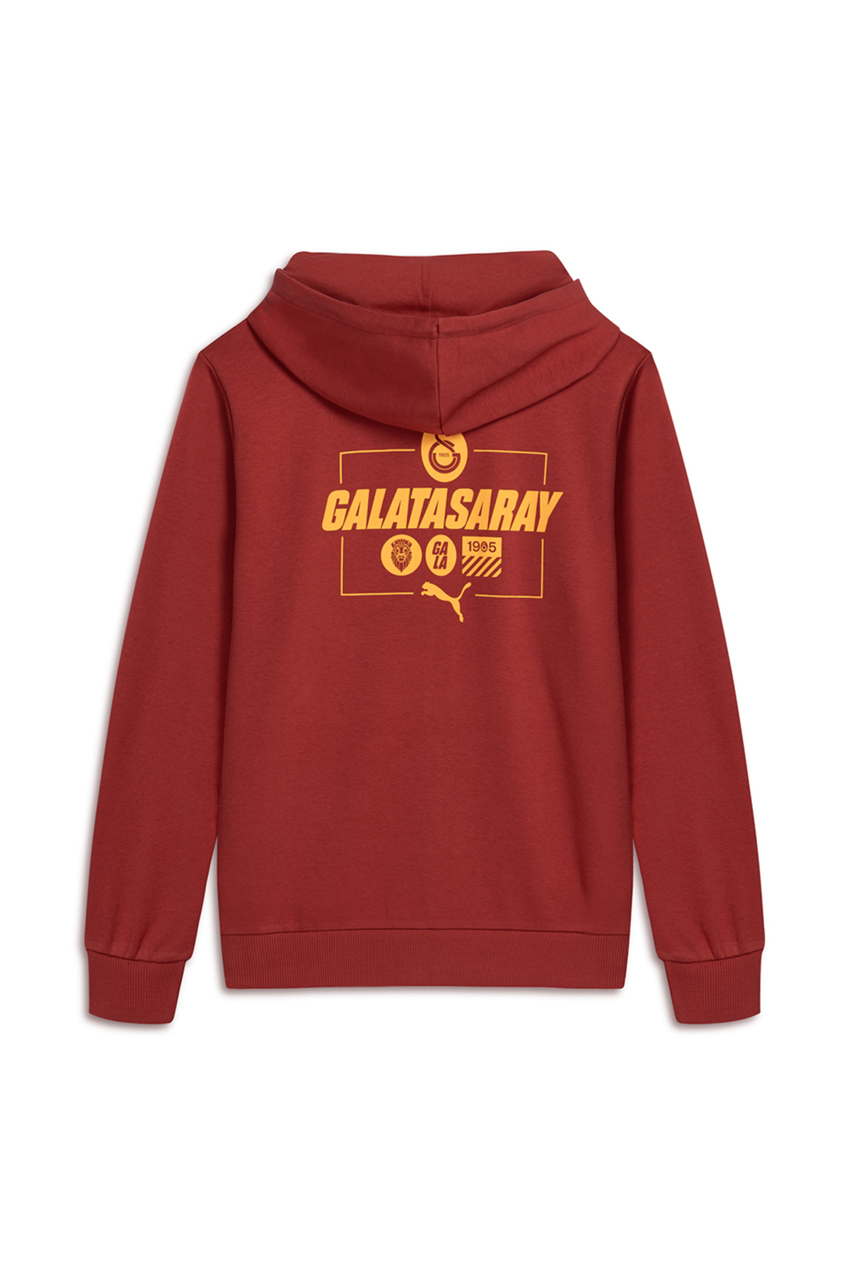 GSStore Galatasaray Puma Culture Kapüşonlu Sweatshirt 78291901 görsel 2