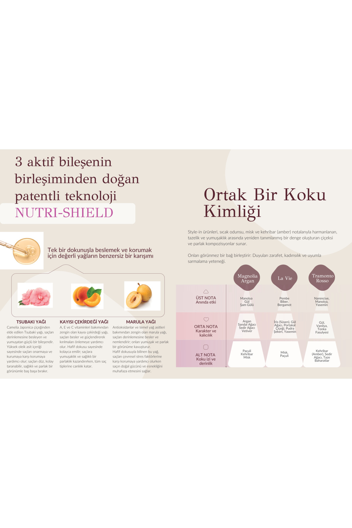 Style-In Extra Mousse Ekstra Güçlü Saç Köpüğü 400 ml — INS-463 — تصویر 3 از 7