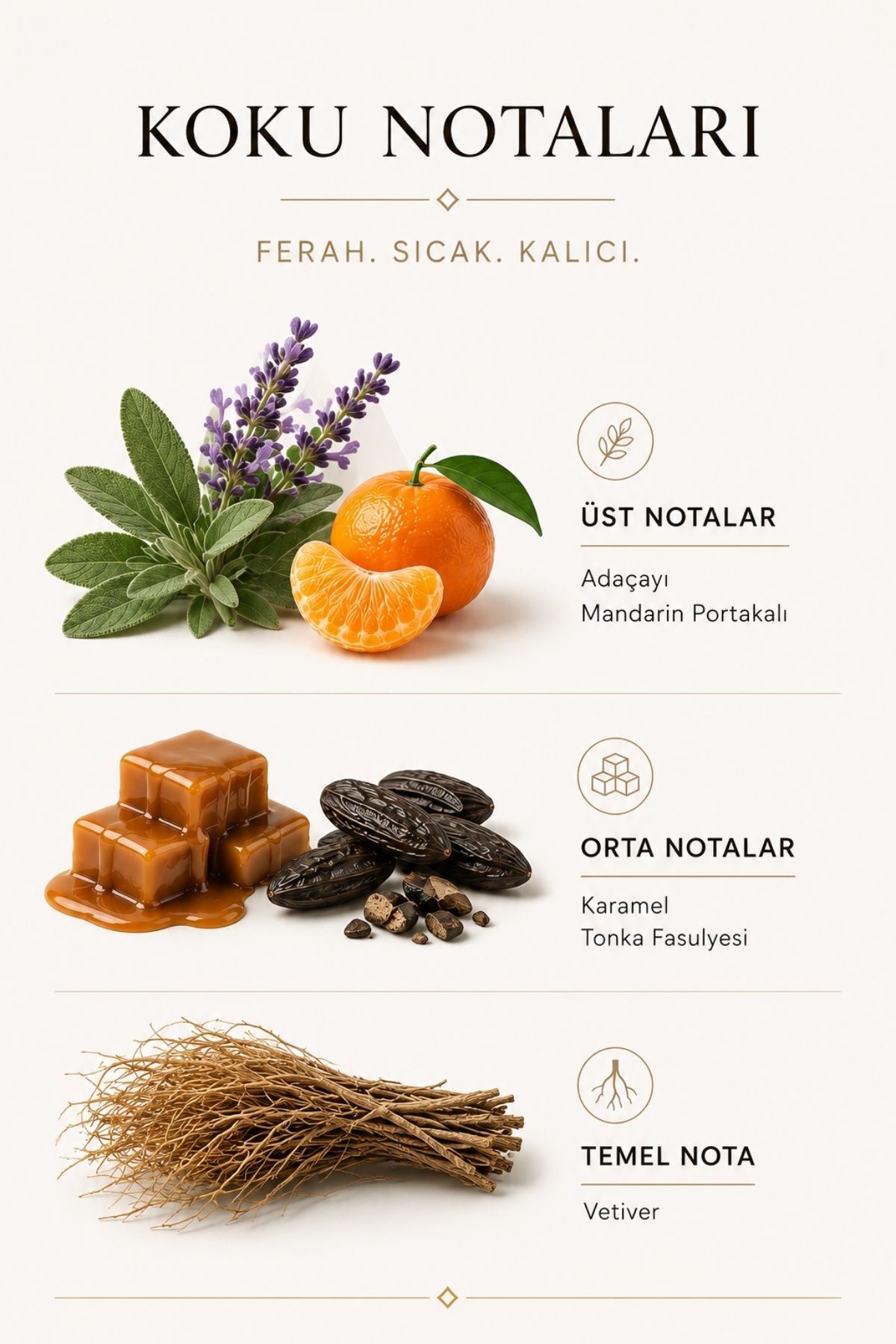 Erkek Parfümü Scandal Intense 50 ml EDP Kalıcı Parfüm — görsel 3