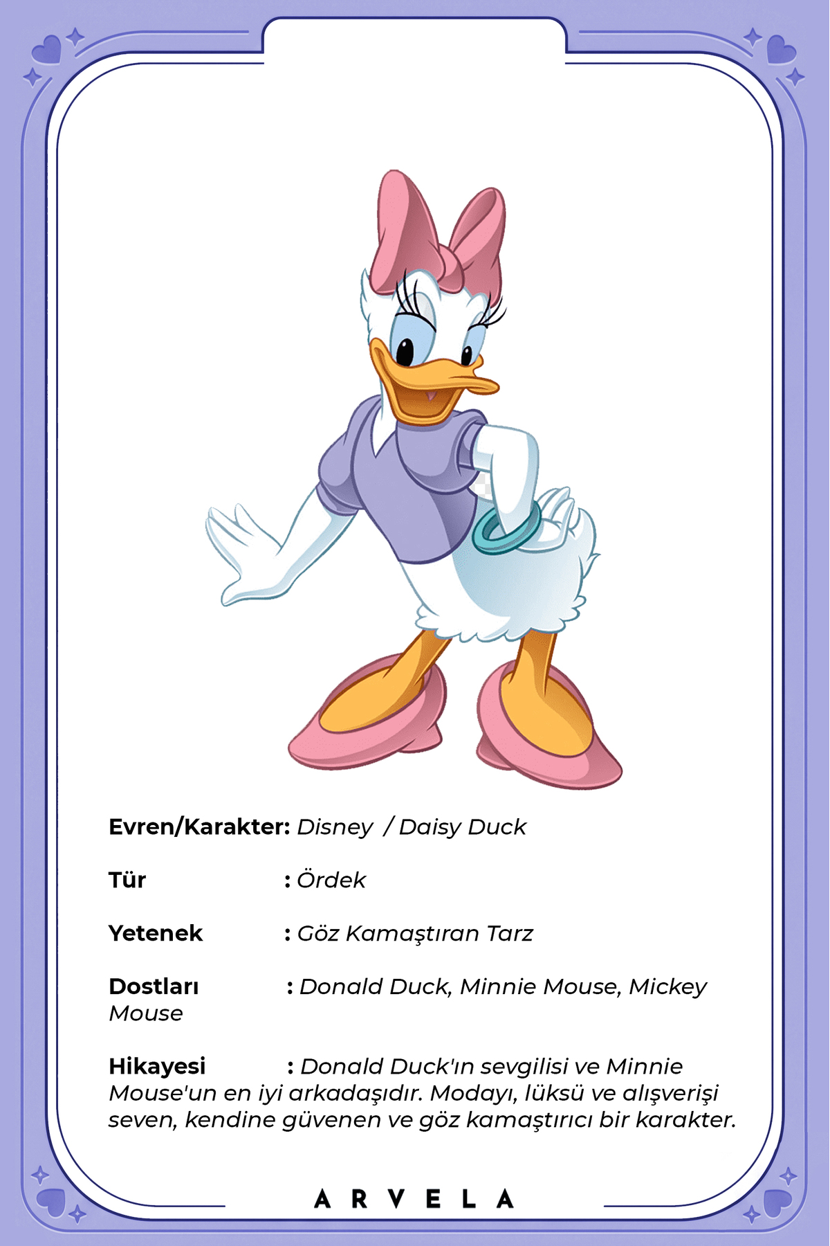 Arvela Bricks Disney Serisi: Donald & Daisy & Minnie & Pluto