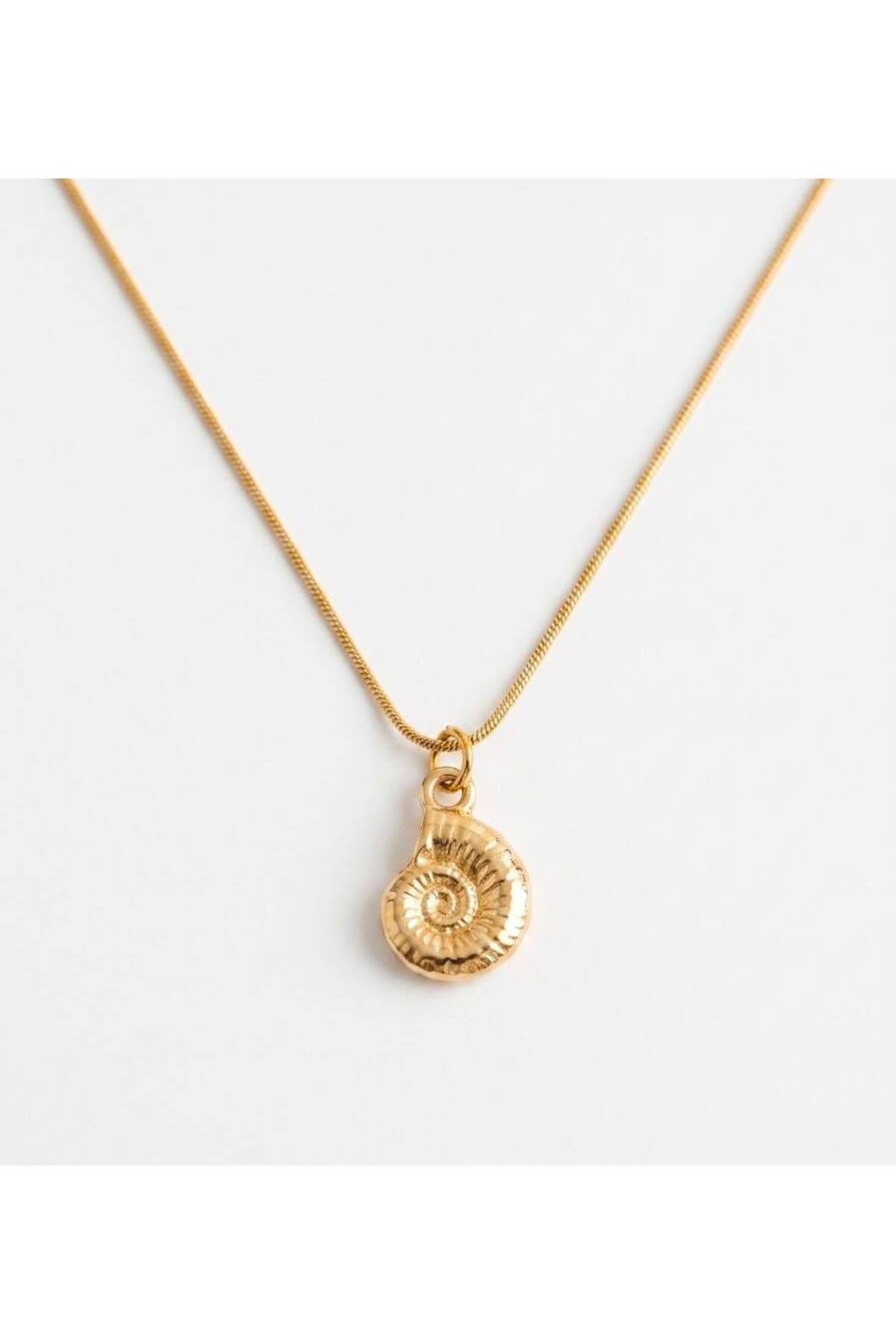 Mini Deniz Kabuğu Charm Çelik Zincirli 45 cm Yazlık Gold Kolye - Detay Görseli 1