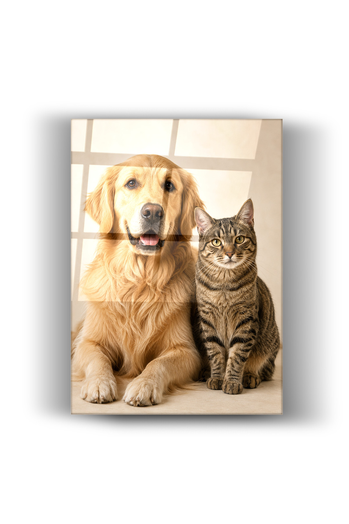 Cam Tablo Golden Retriever Köpek ve Tekir Kedi Sevimli Hayvanlar Temalı Duvar Dekorasyonu
