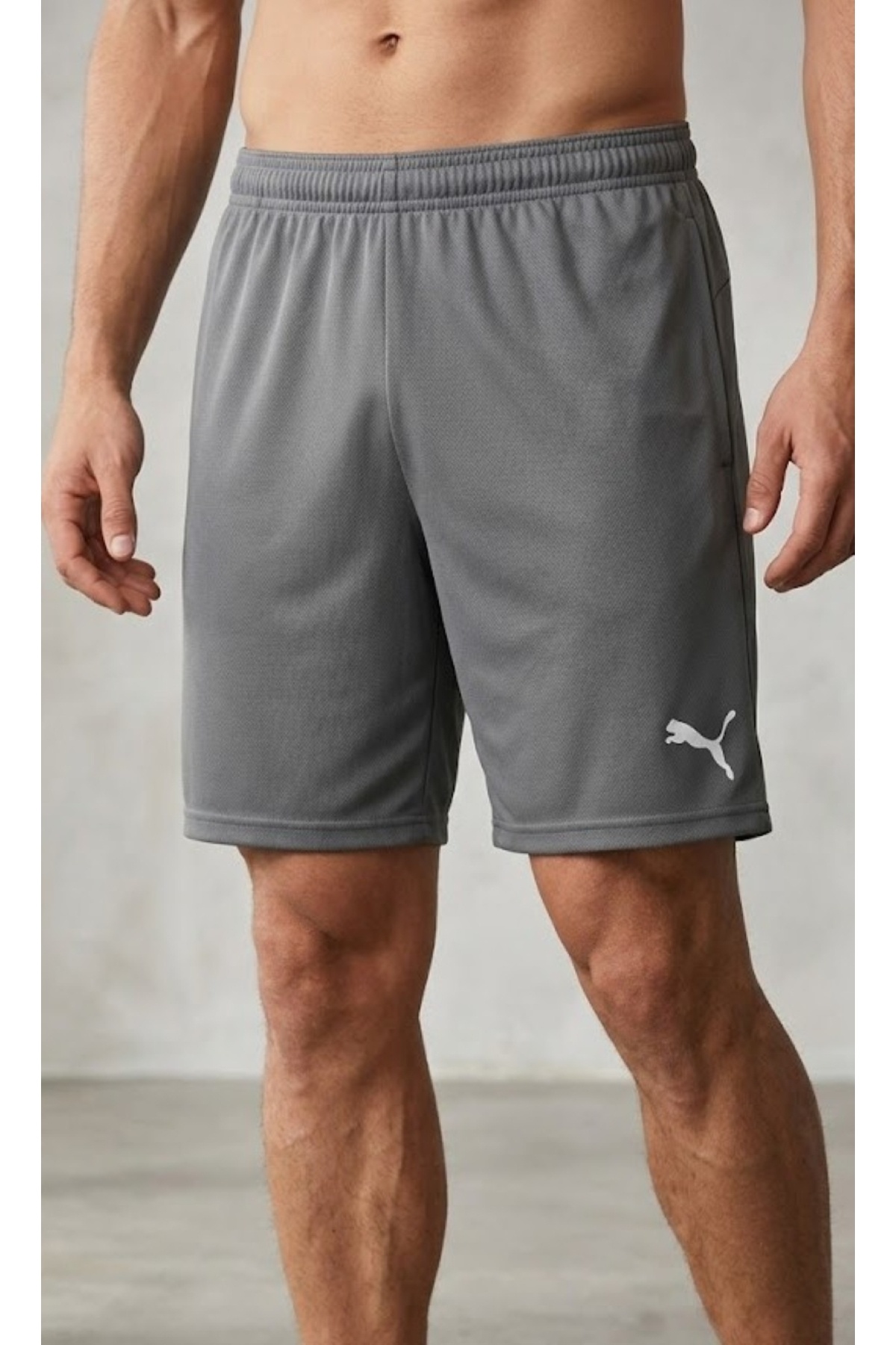 Puma Teamrise Short Men's Shorts70494213 gray