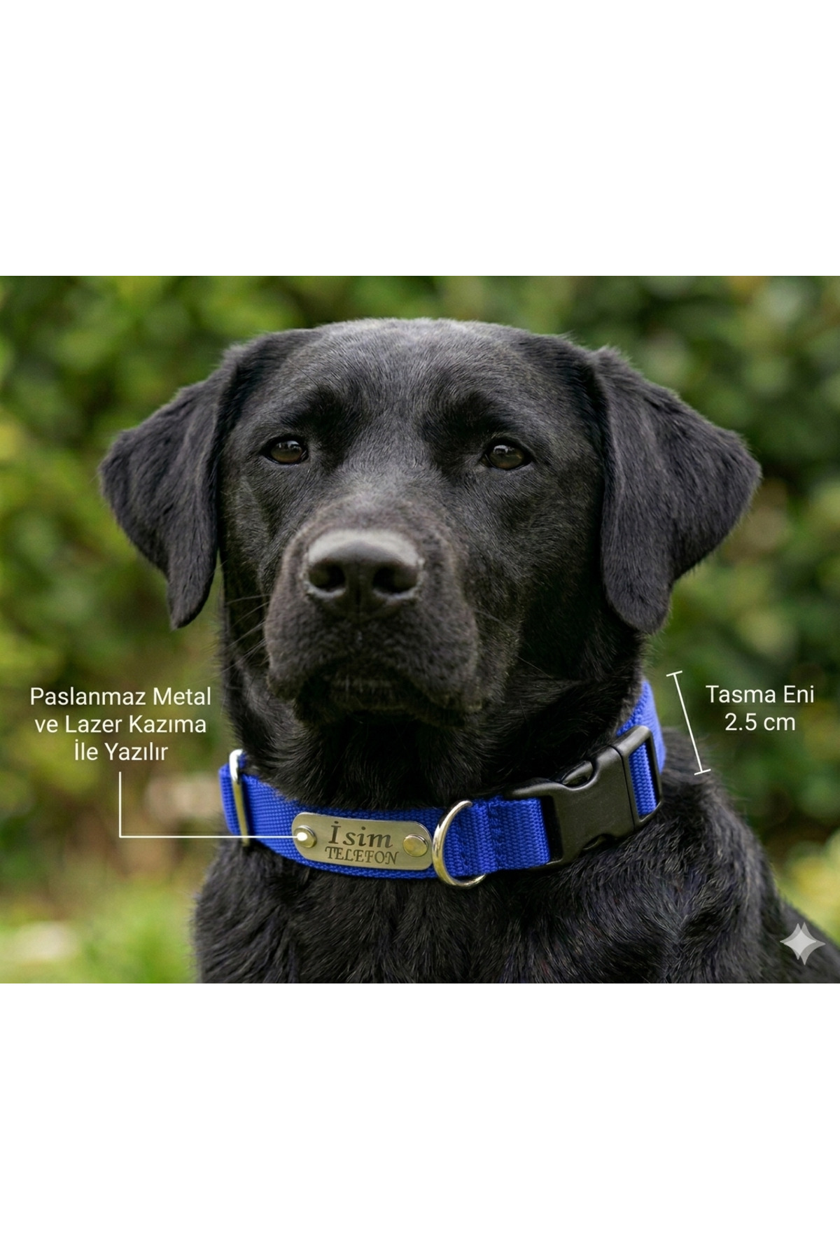 hebmeyy Ayarlanabilir Yavru Köpek Ve Orta Irk Köpek Tasması, Köpek Tasma Ve Künyesi, Sağlam Köpek Tasması