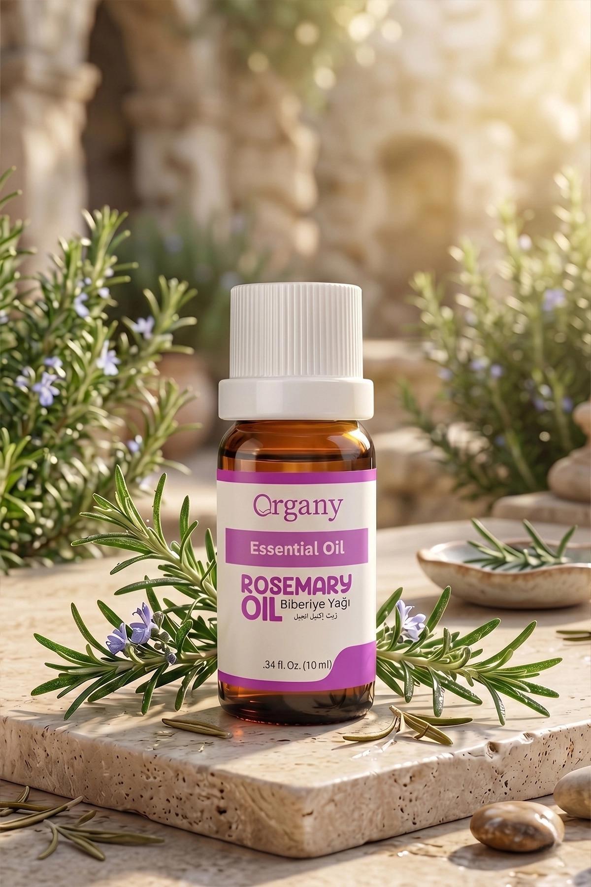 Saç Köklerini Besleyici Biberiye Yağı %100 Doğal Saç Derisi Bakım Yağı Rosemary Essential Oil 10 ml — OGEY10TOO — تصویر 5 از 5