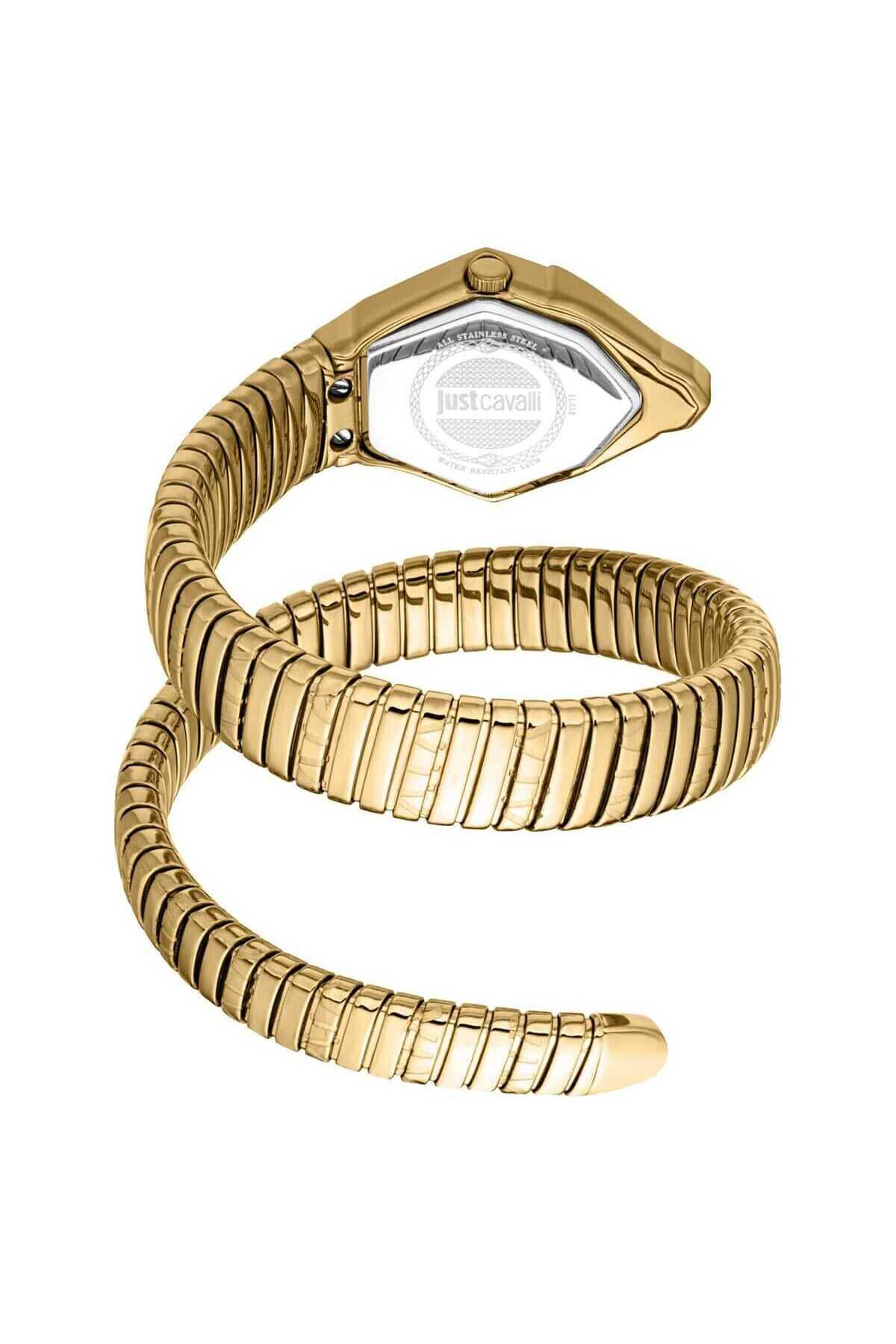 Just Cavalli JC1L358M0035 Kadın Kol Saati görsel 2