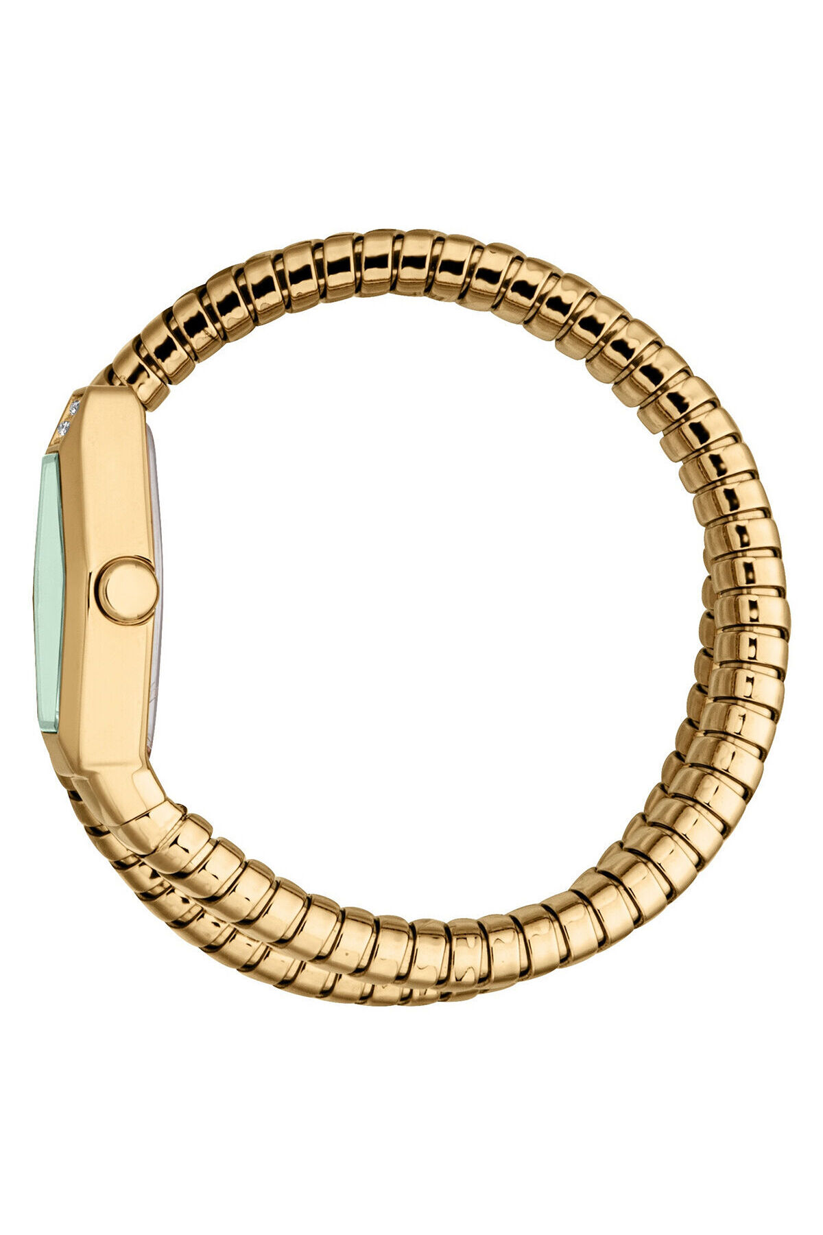 Just Cavalli JC1L394M0035 Kadın Kol Saati görsel 3