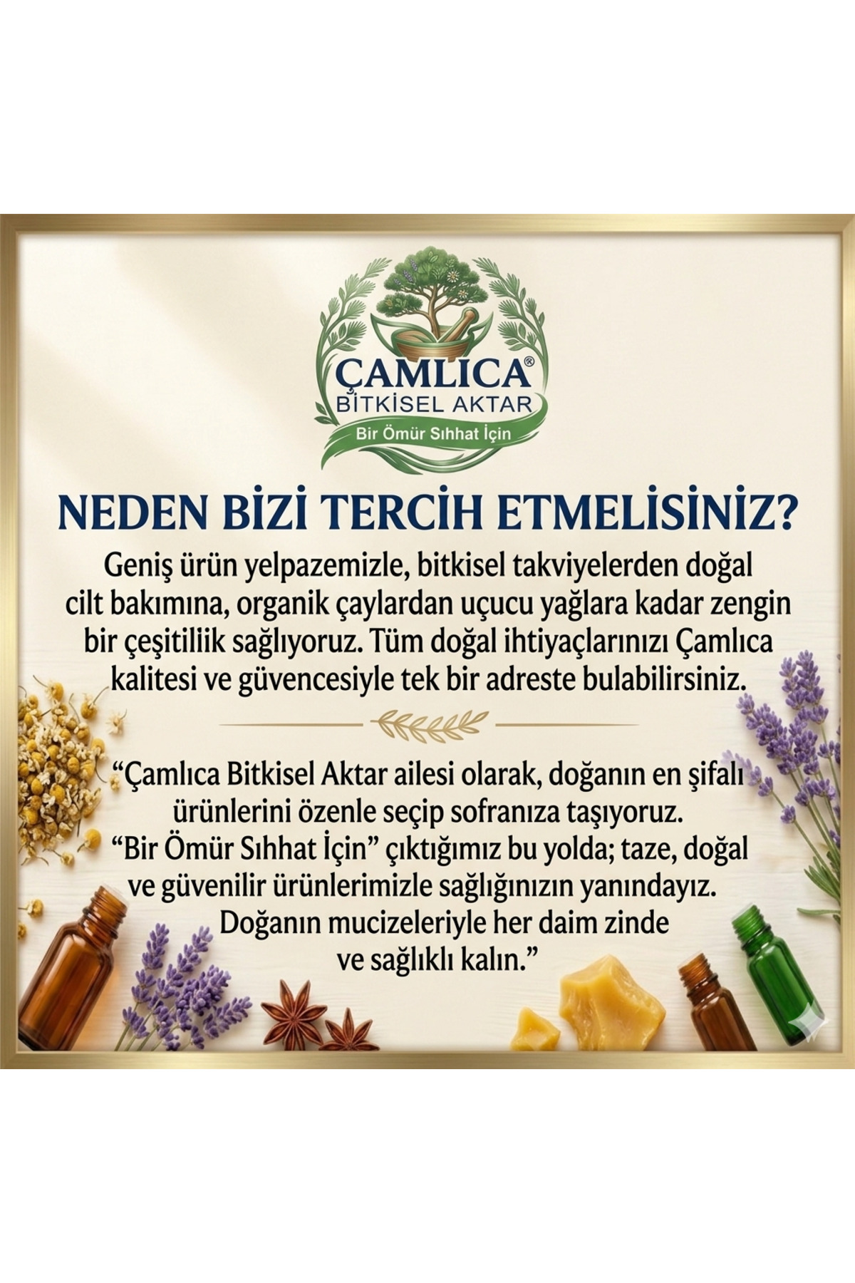 İspanyol Yosunu Saç Bakım Serumu 50 ml — İSPANYOLYOSUNU — تصویر 5 از 5
