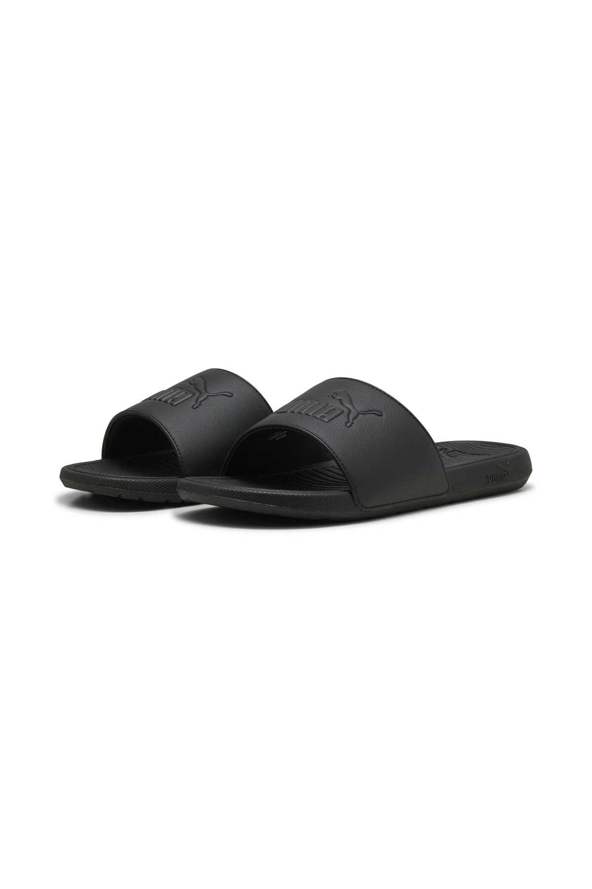 Cool Cat 2.0 Slides