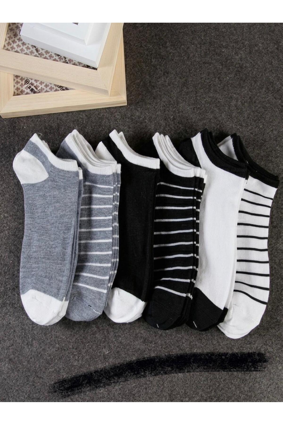 SBA SOCKS 6 Çift Erkek Çorap Çizgili ve Düz Erkek Patik Çorap