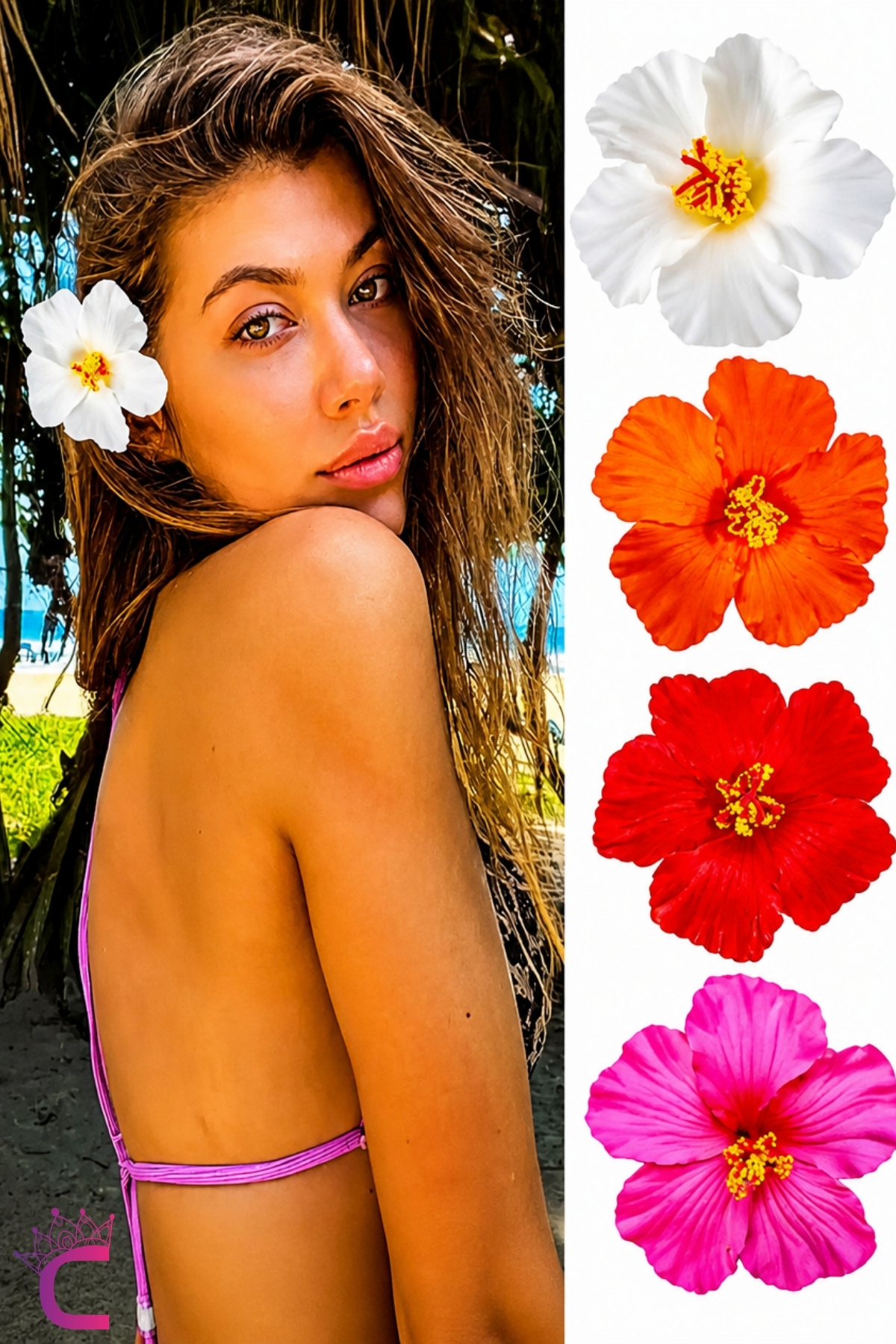 Cinderella Kırmızı Japon Gülü Hibiskus Çiçeği Pens Saç Tokası 10cm - Hawaii Renkli Plaj Yazlık Klipsli Yan Toka görsel 3