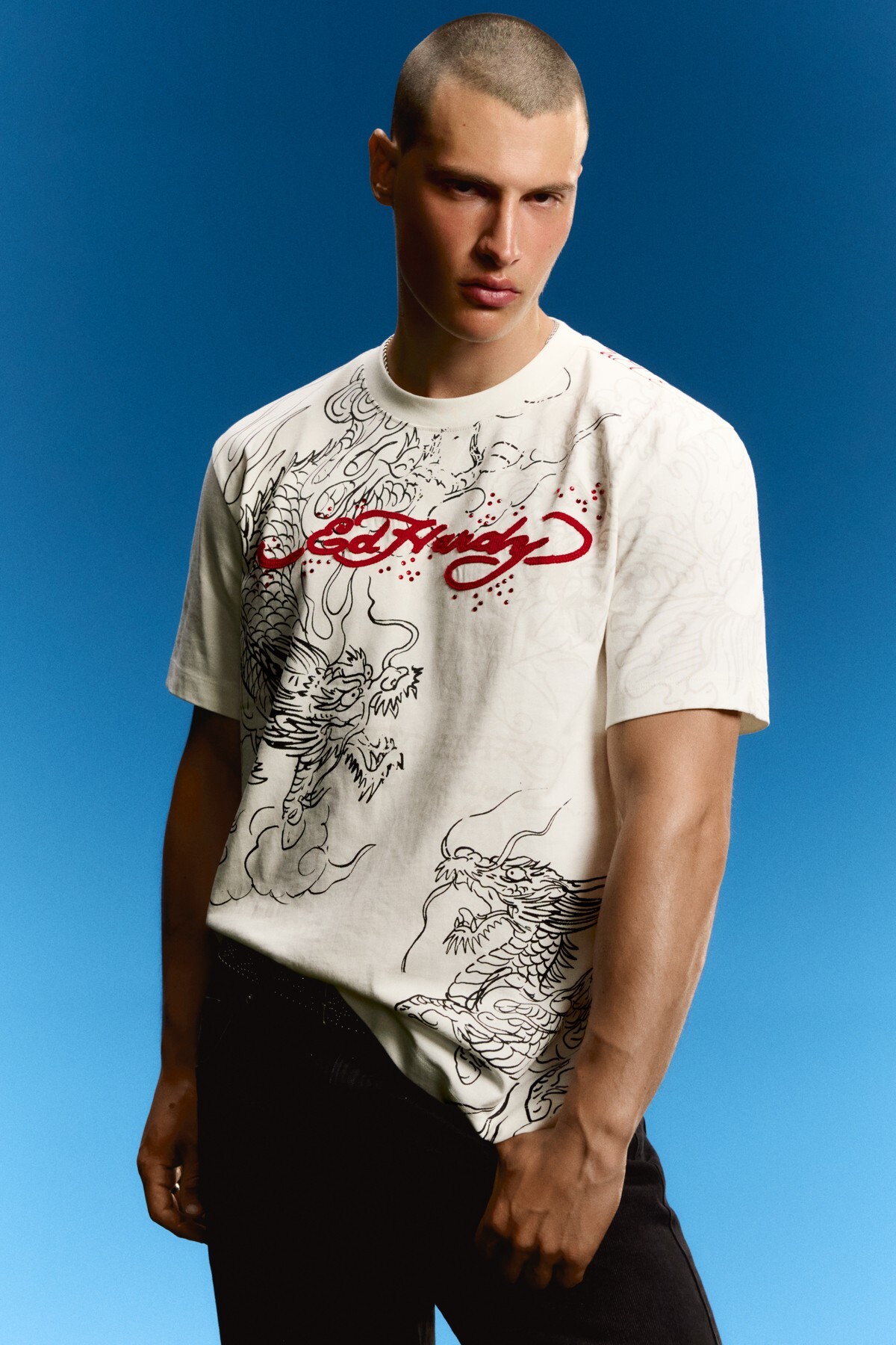 トップス Ed Hardy Bershka ED HARDY X baskılı t-shirt - Fiyatı, Yorumları