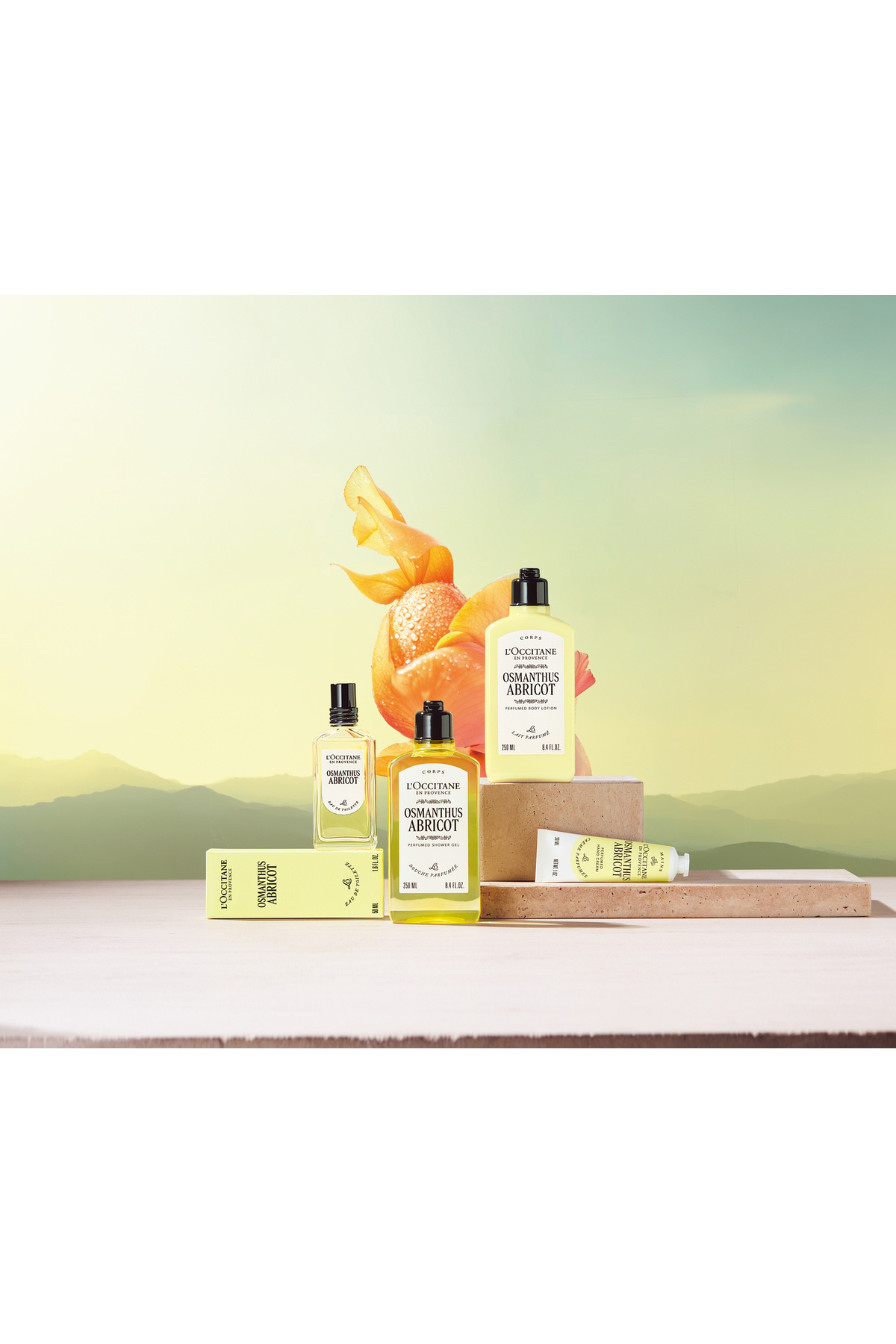 L'Occitane Osmanthus Abricot Parfümlü El Kremi, Osmanthus Çiçeği