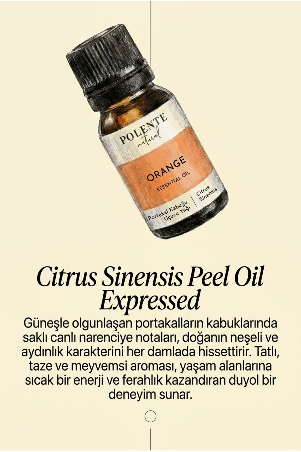 Portakal Kabuğu Uçucu Yağı (10 ml ) — Citrus Sinensis Peel Oil Expressed — تصویر 3 از 4