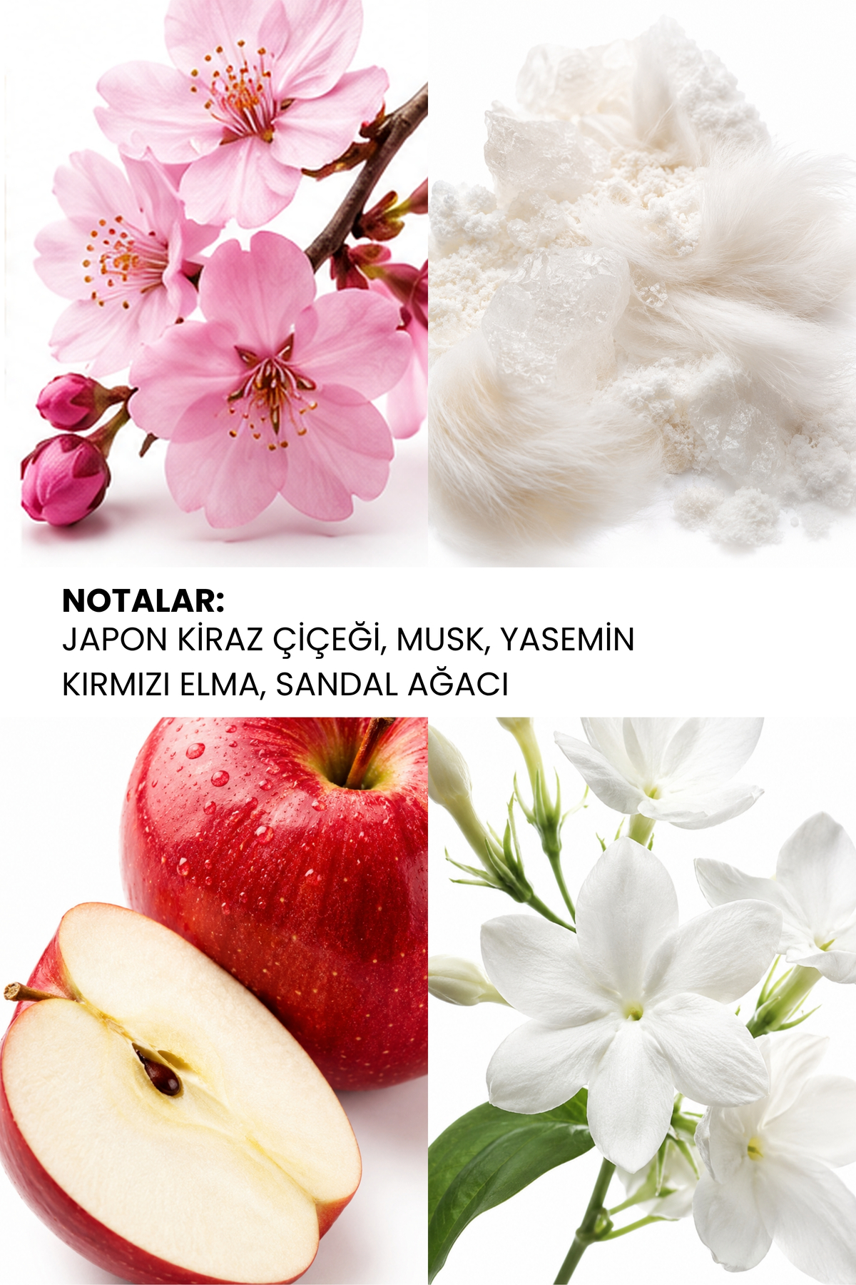 Pastel Jasmine Signature Kadın EDP Parfüm 50 ml — سفید 8680136608428 — تصویر 2 از 5