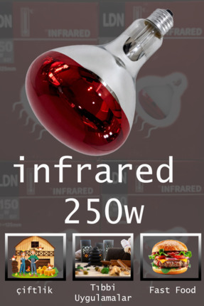 LDN Infrared 250W E27 Kızılötesi Isıtıcı Ampul – İnfraruj Ampul - Çiftlik / F...