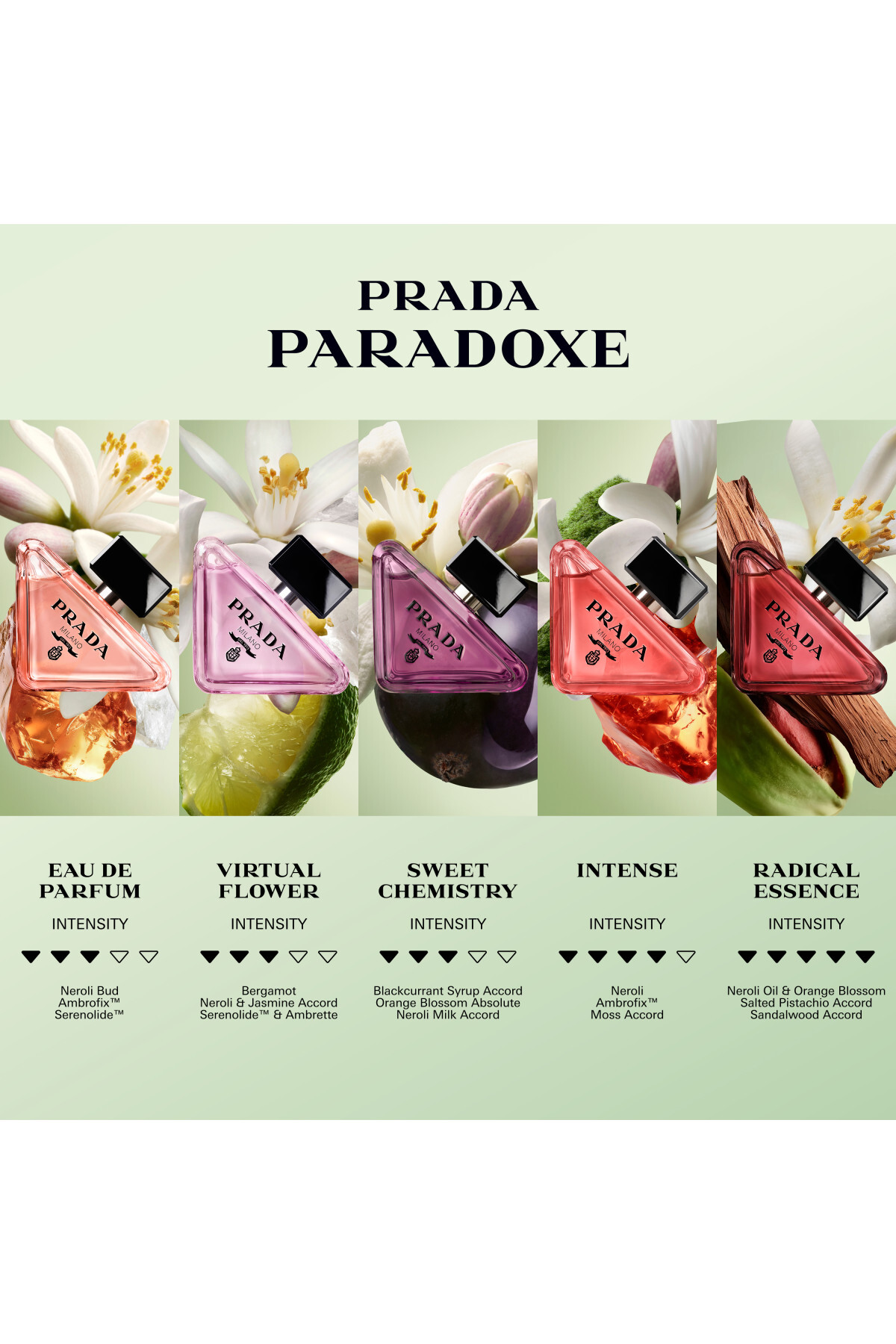 عطر زنانه پارادوکس سوئیت شیمی 100 میلی لیتر 3614274488203
