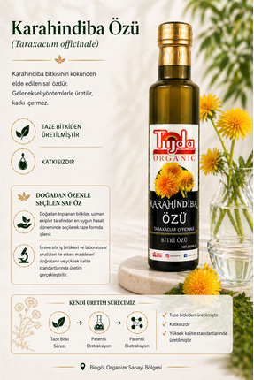 TİJDA Karahindiba kökü özü-Saf Taze Bitki Kökünden üretilmiştir-katkısız-saf ...