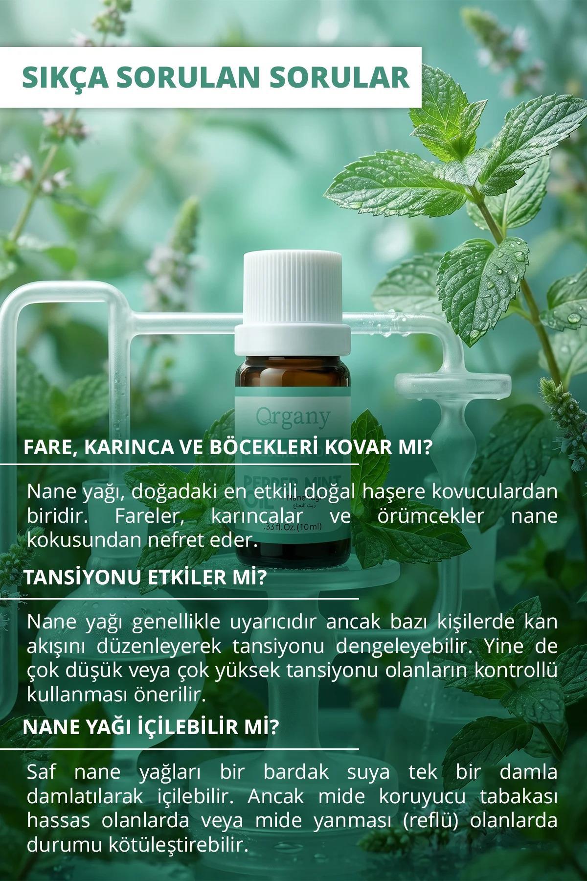 Ferahlatıcı Nane Yağı %100 Doğal Ferahlatıcı Aromaterapi Yağı Peppermint Essential Oil 10 ml — OGEY10NAO — تصویر 4 از 5