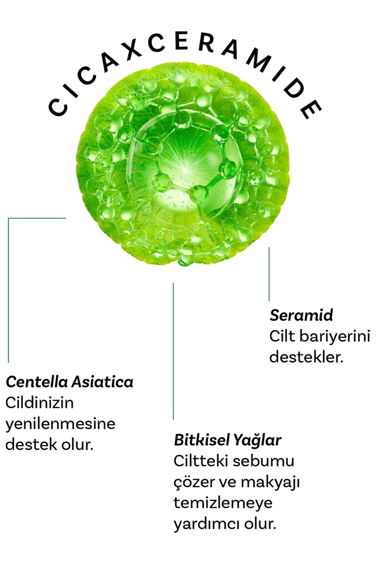 Cıca X Mide Centella Asiatica Özlü Temizleme Yağı ve Serumu — DERMALCİCASET02 — تصویر 6 از 8