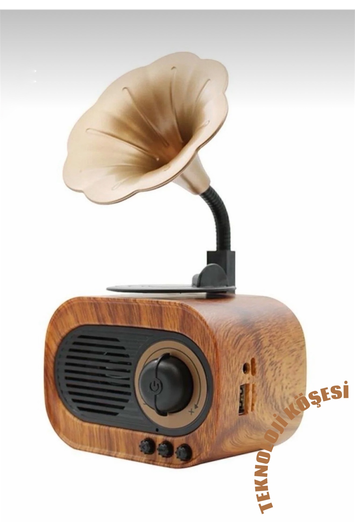超希少 美品 Roland BN-60 Bass Note 60W カバー付 Teknoloji Köşesi Nostaljik Gramafon Plak Görünümlü Mini Retro