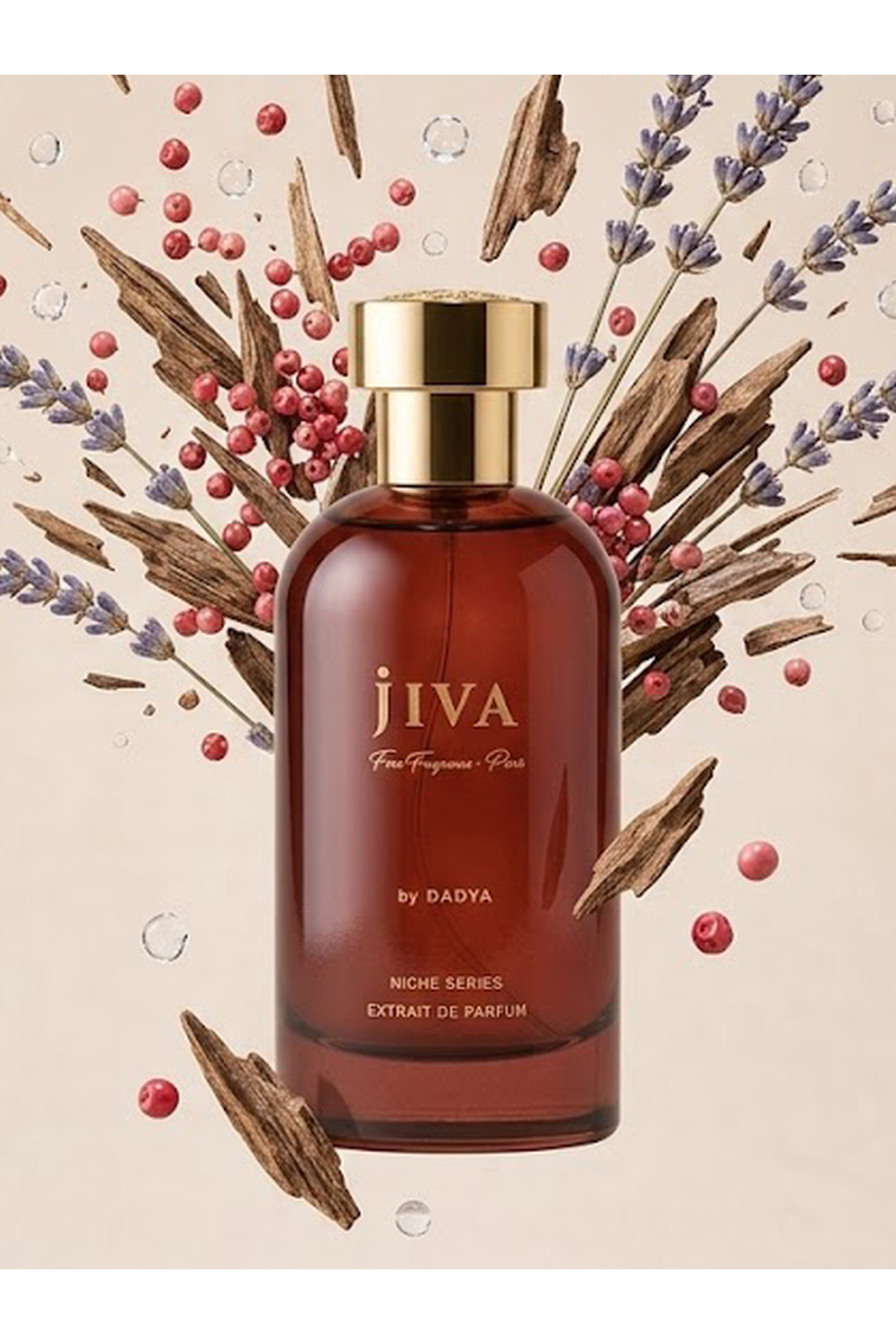 NICHE SERIES JİVA