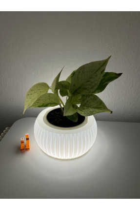 Desing Beyaz LED Işıklı Dekoratif Saksı & Gece Lambası - Aç/Kapa Anahtarlı, 1...
