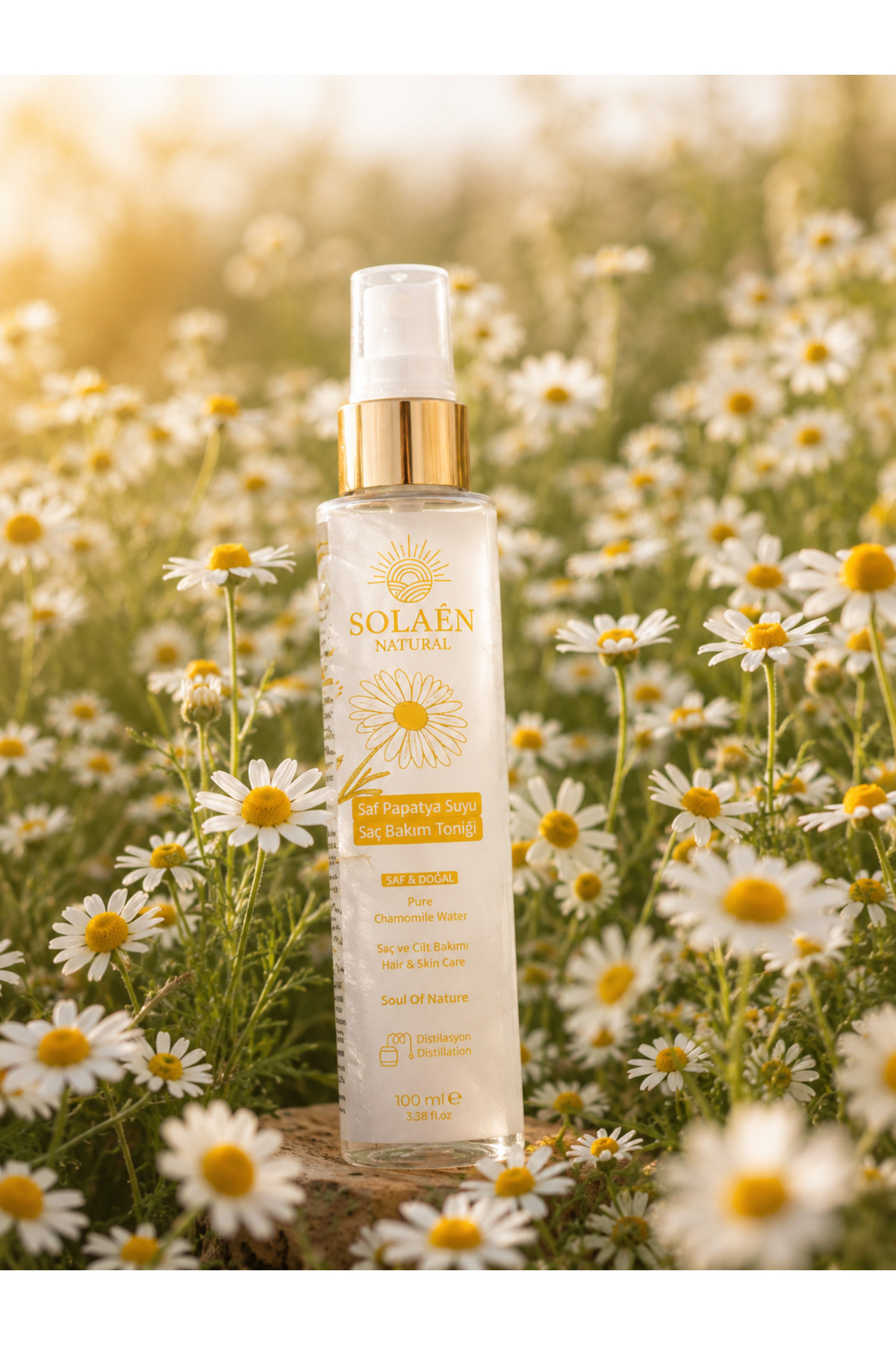 Solaén Natural Papatya Suyu 100 ml Saf Doğal Papatya Hidrosolü Saç Bakım Toniği — 100ml-PAPATYA — تصویر 3 از 3