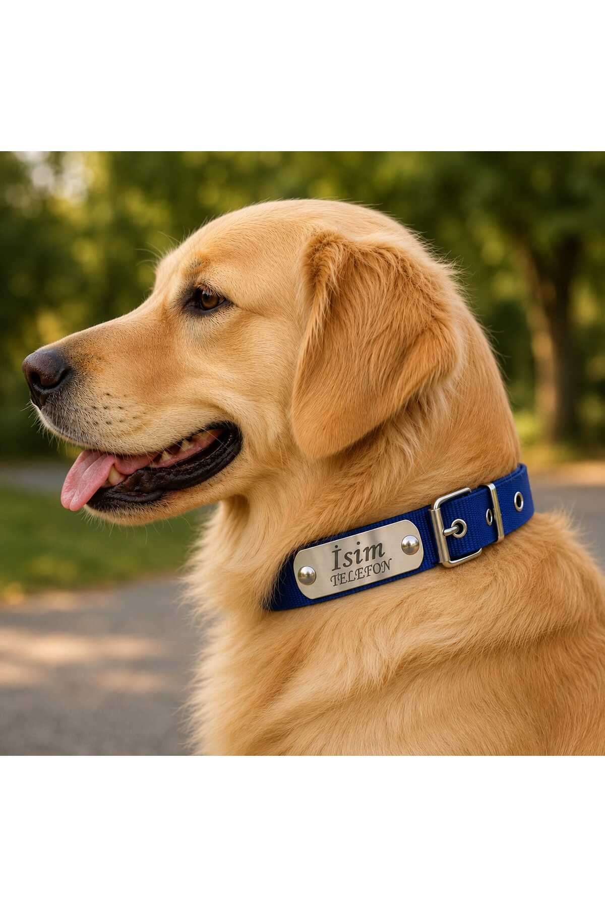 hebmeyy Köpek Tasması Isim Telefon, Kişiye Özel Köpek Tasması, Tasmaya Çakılı Isimli Köpek Tasması, Metal